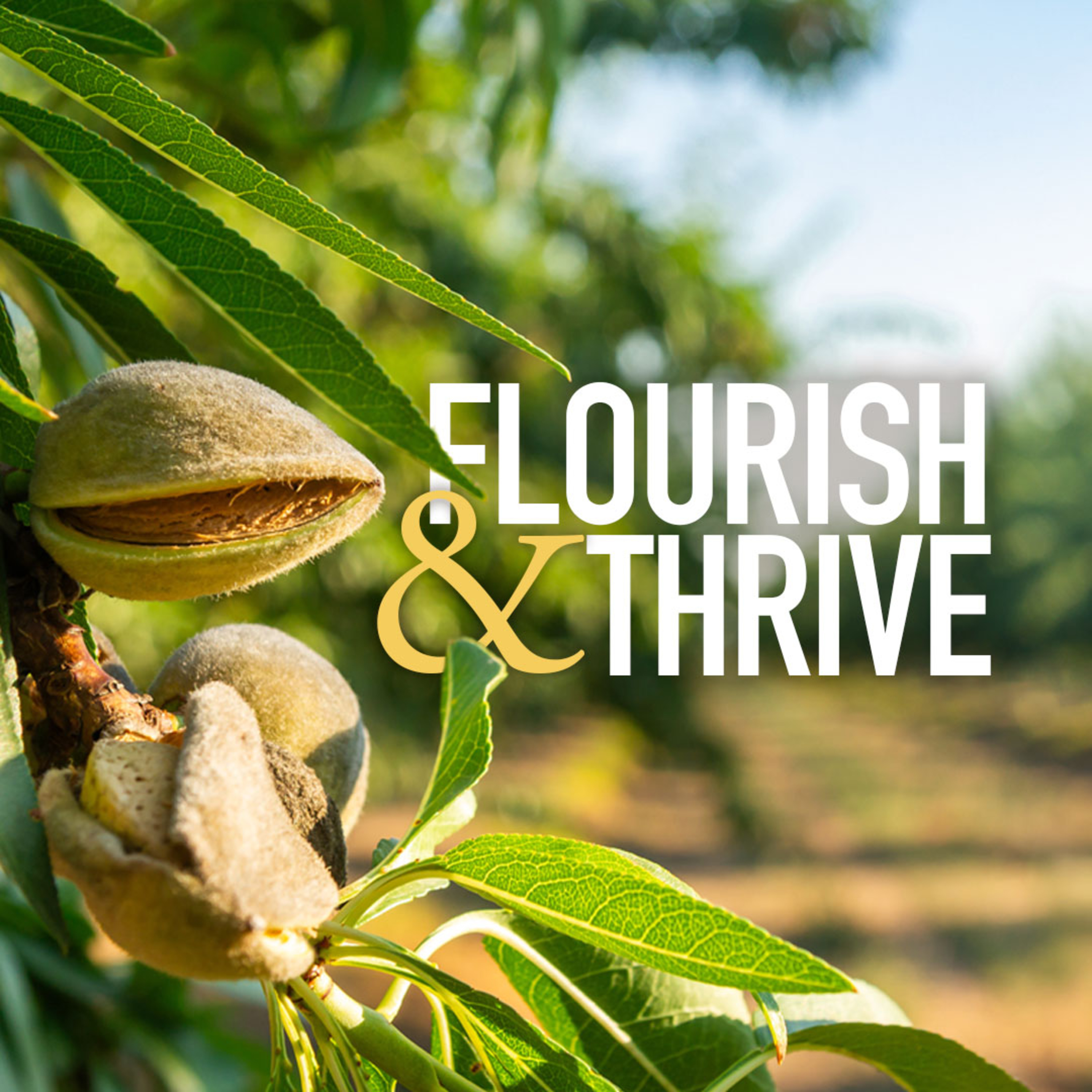 Flourish & Thrive: Never Meant to be Alone episode artwork