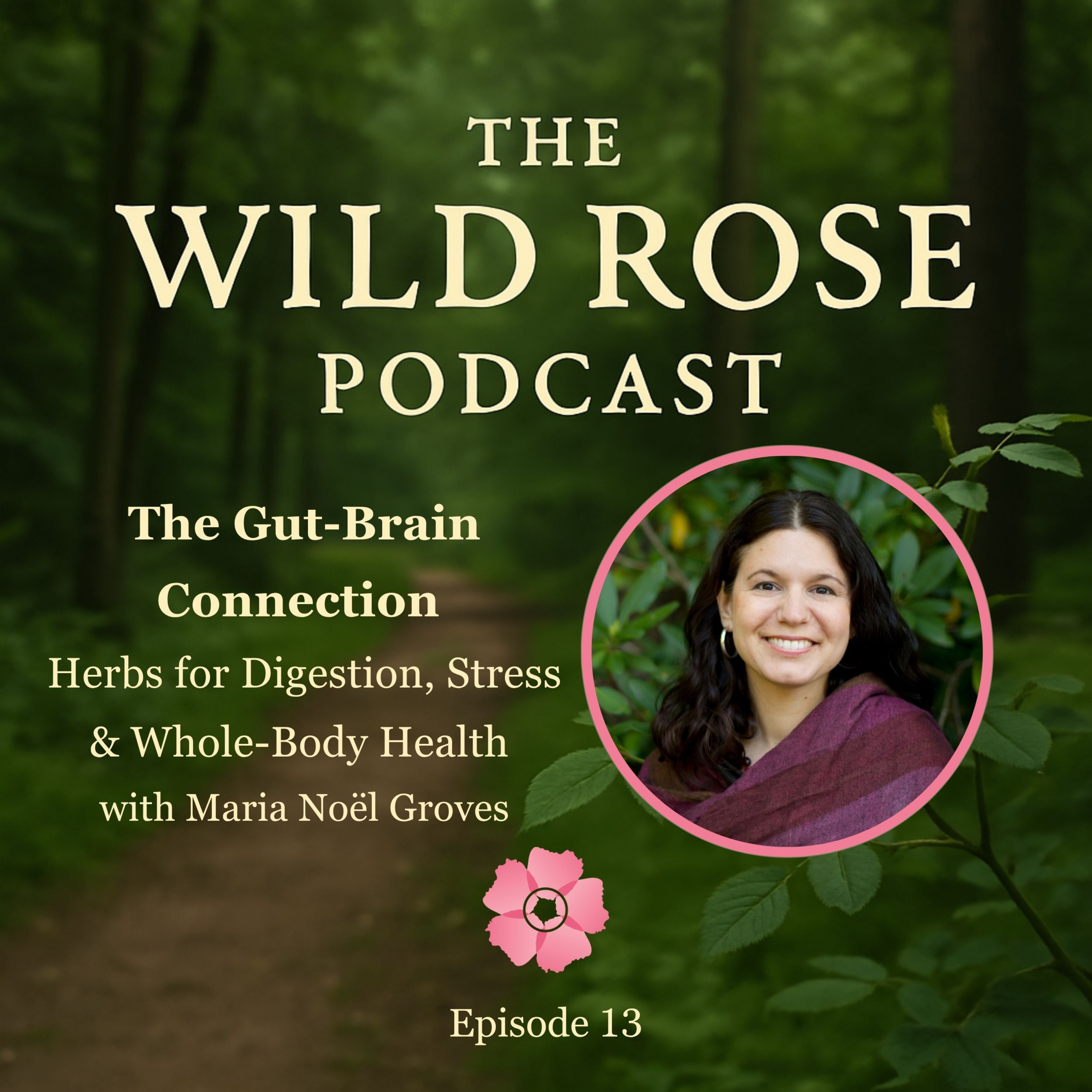 The Gut-Brain Connection: Herbs for Digestion, Stress & Whole-Body Health with Maria Noel Groves