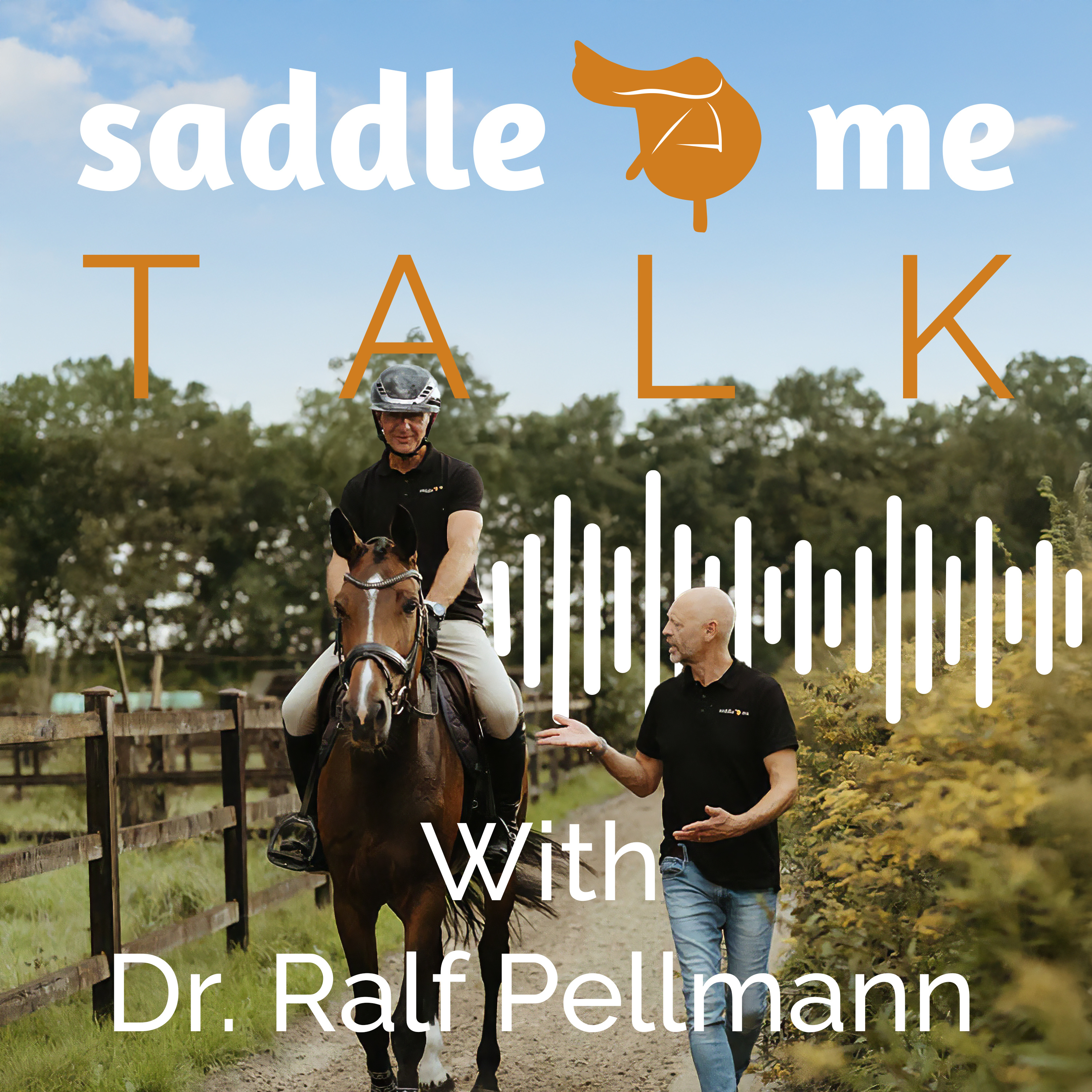 Do horses really have more health problems nowadays? Or is our perspective just more precisely?