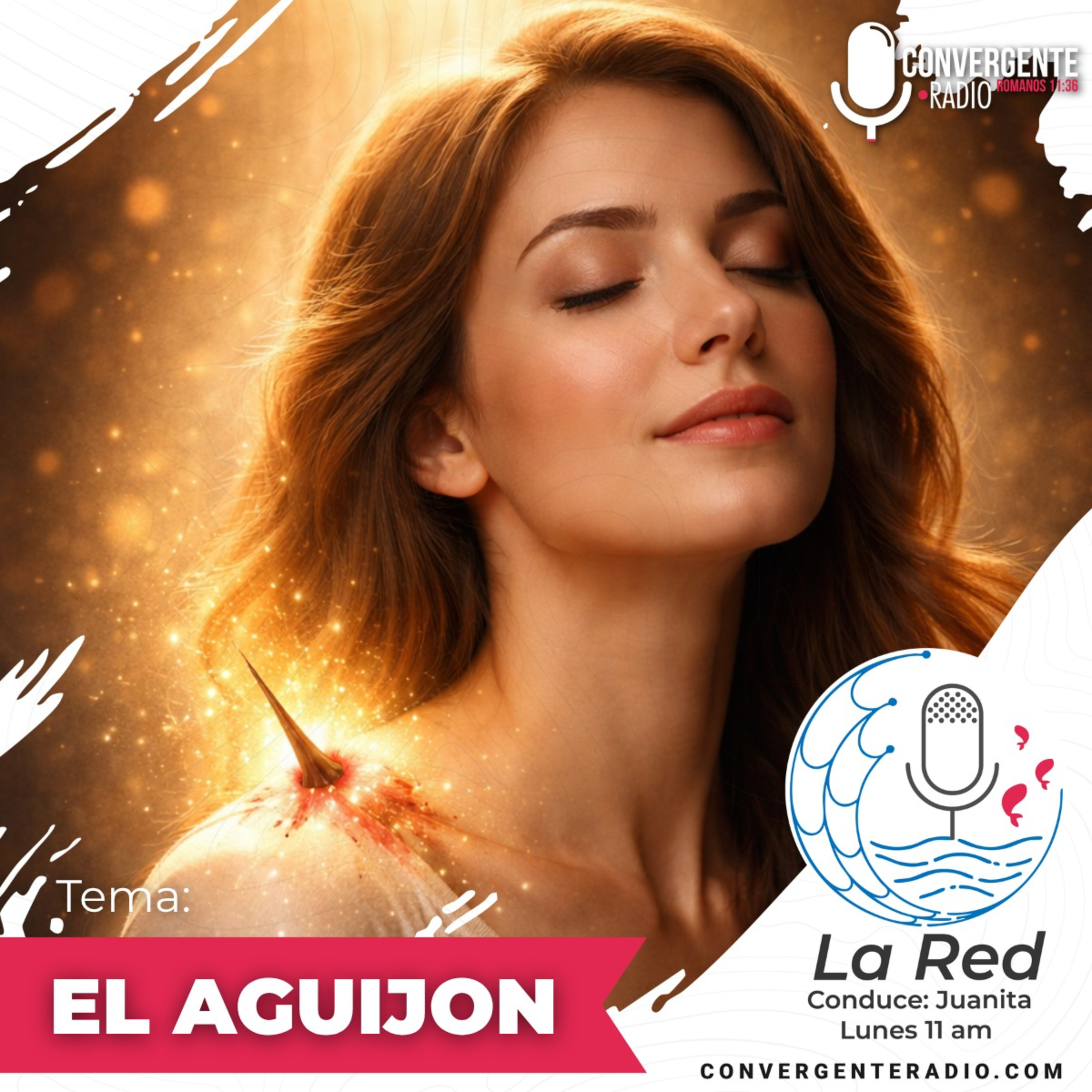 Portada de La Red