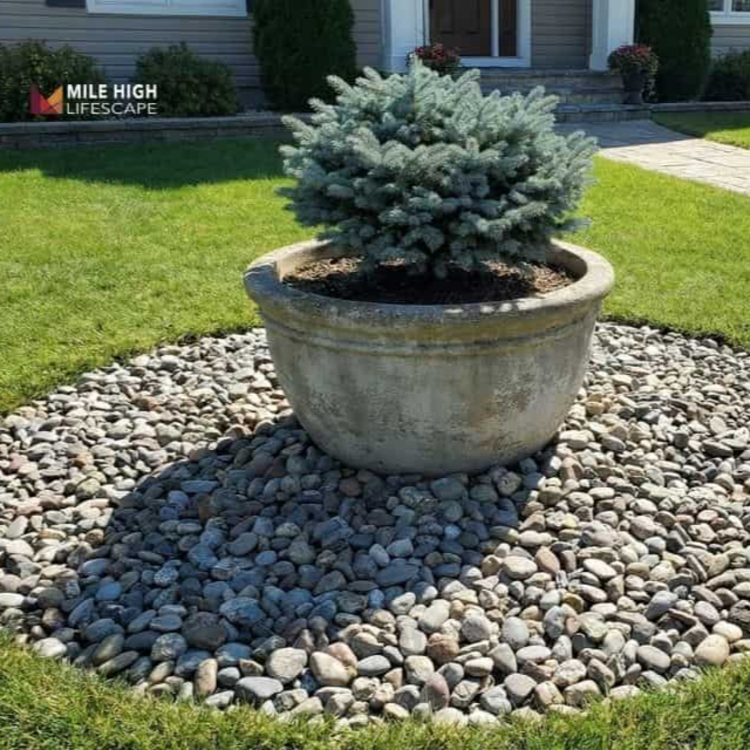 18 Front Yard Landscaping Ideas with Pots and Rocks for Denver Homes episode artwork