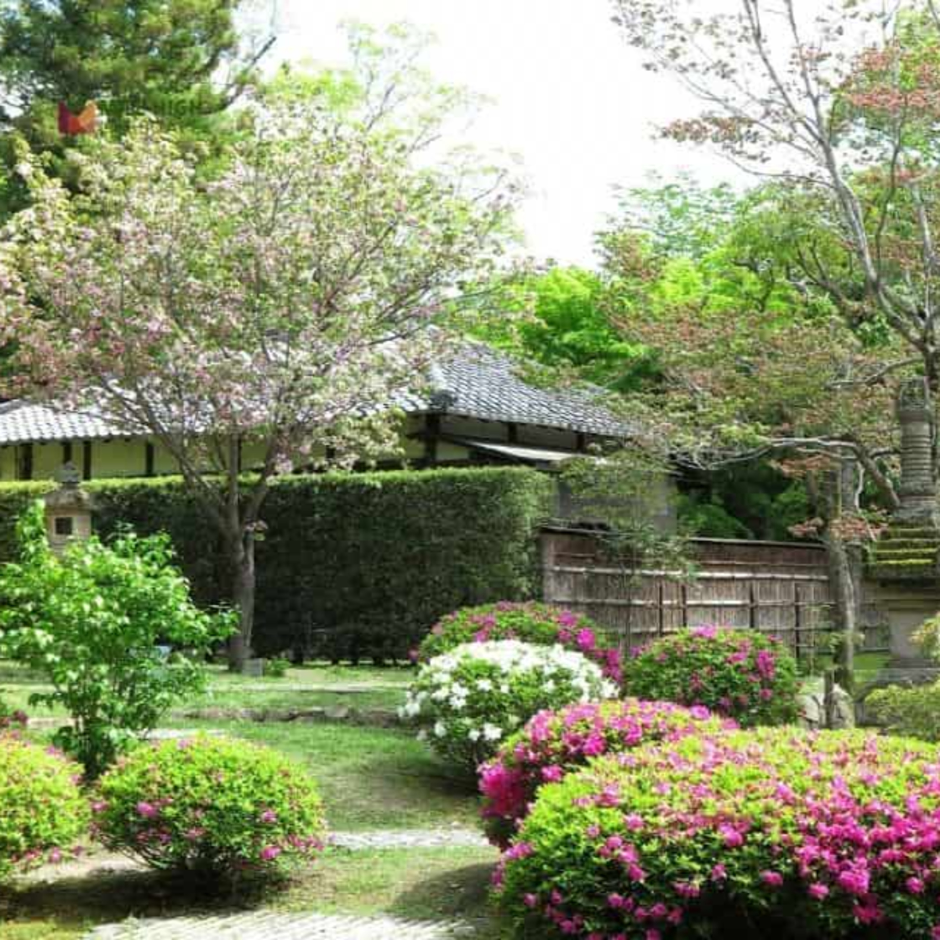 11 Japanese Rock Garden Ideas That Require Minimal Care episode artwork