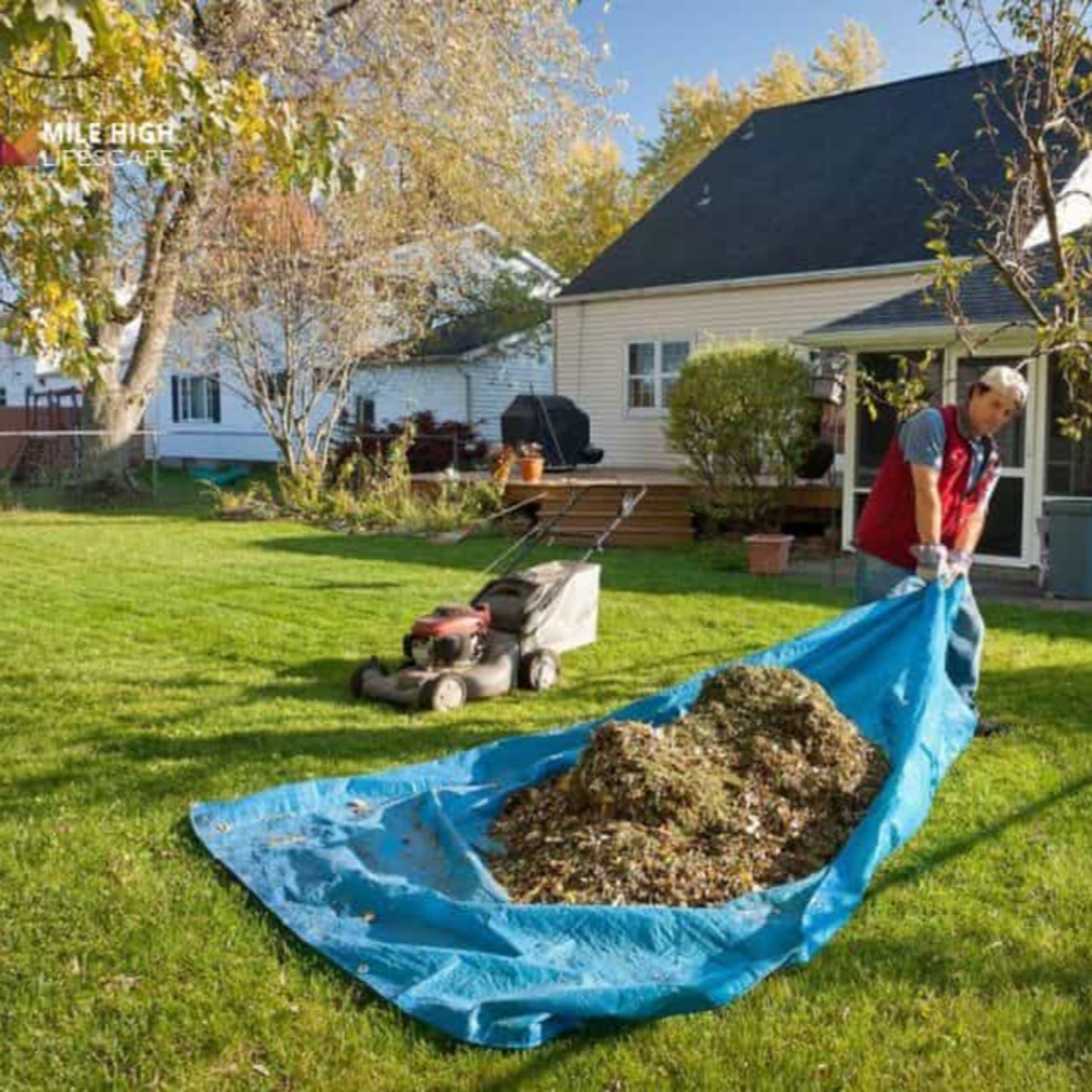How to Prevent Weeds from Growing in Rocks: 9 Proven Long-Term Solutions episode artwork