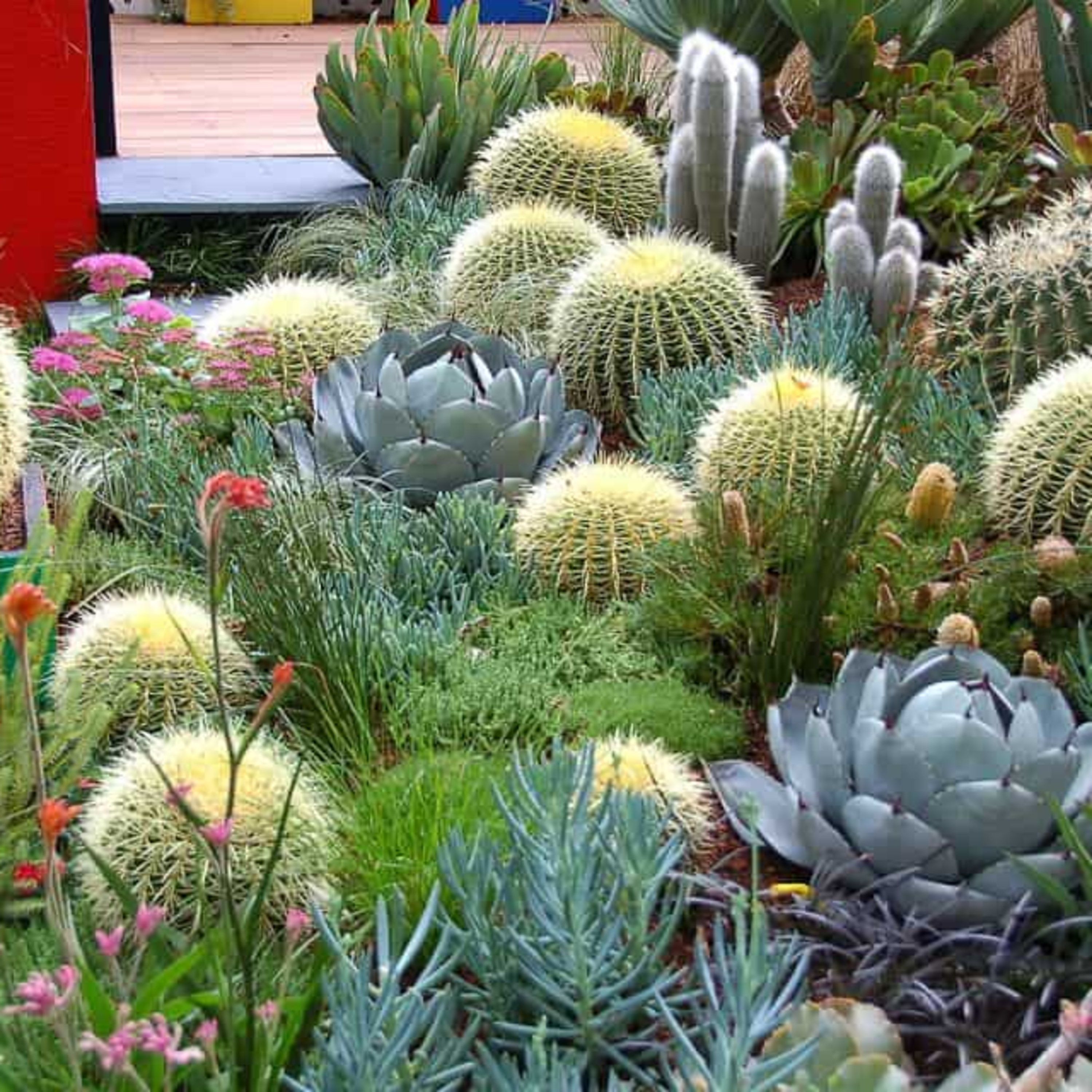 13 Easy Drought-Resistant Landscape Ideas That Save Water episode artwork