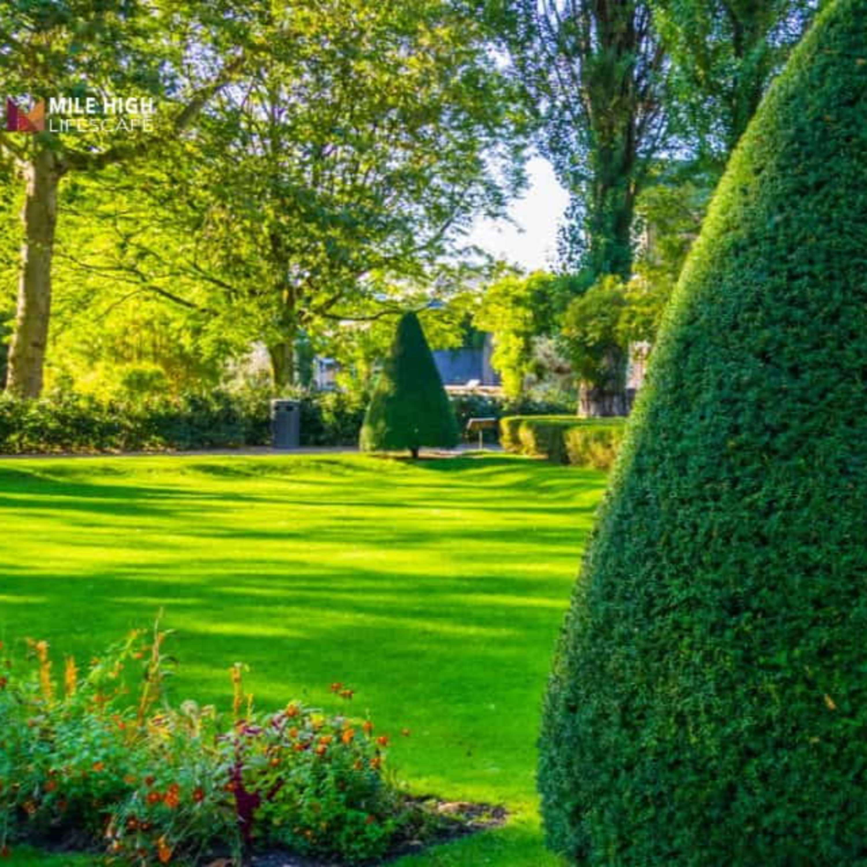 Benefits of Trimming Trees Every Homeowner Should Know episode artwork