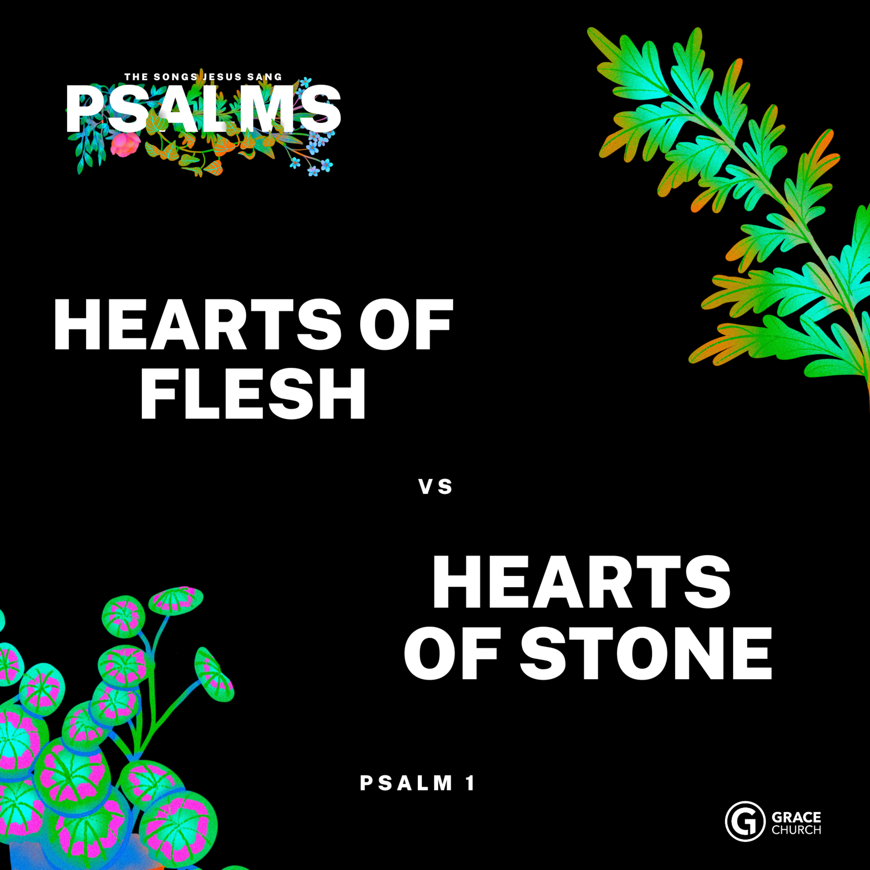 Psalms: The Songs Jesus Sang, Psalms 1 episode artwork
