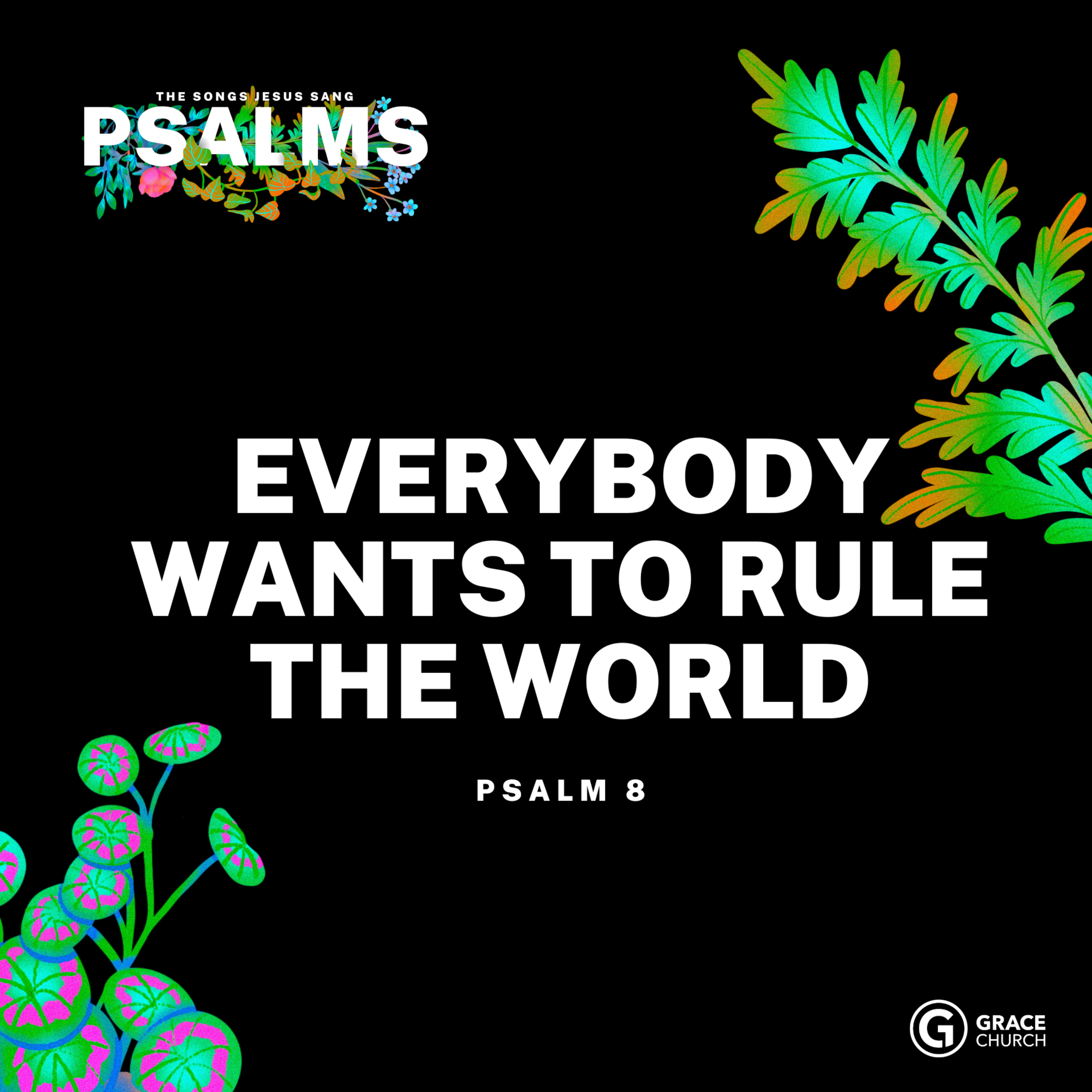 Psalms: The Songs Jesus Sang, Psalms 8 episode artwork