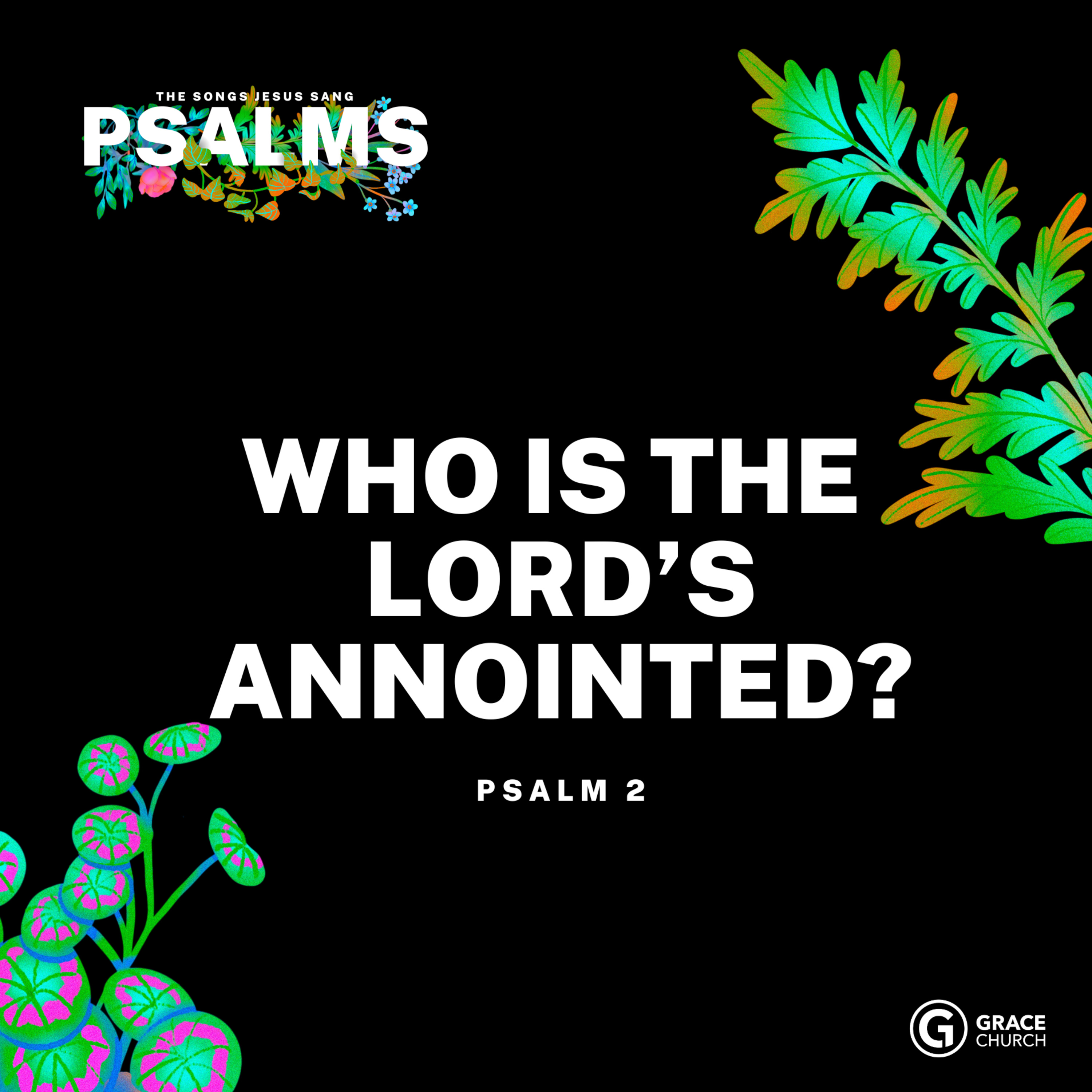 Psalms: The Songs Jesus Sang, Psalms 2 episode artwork
