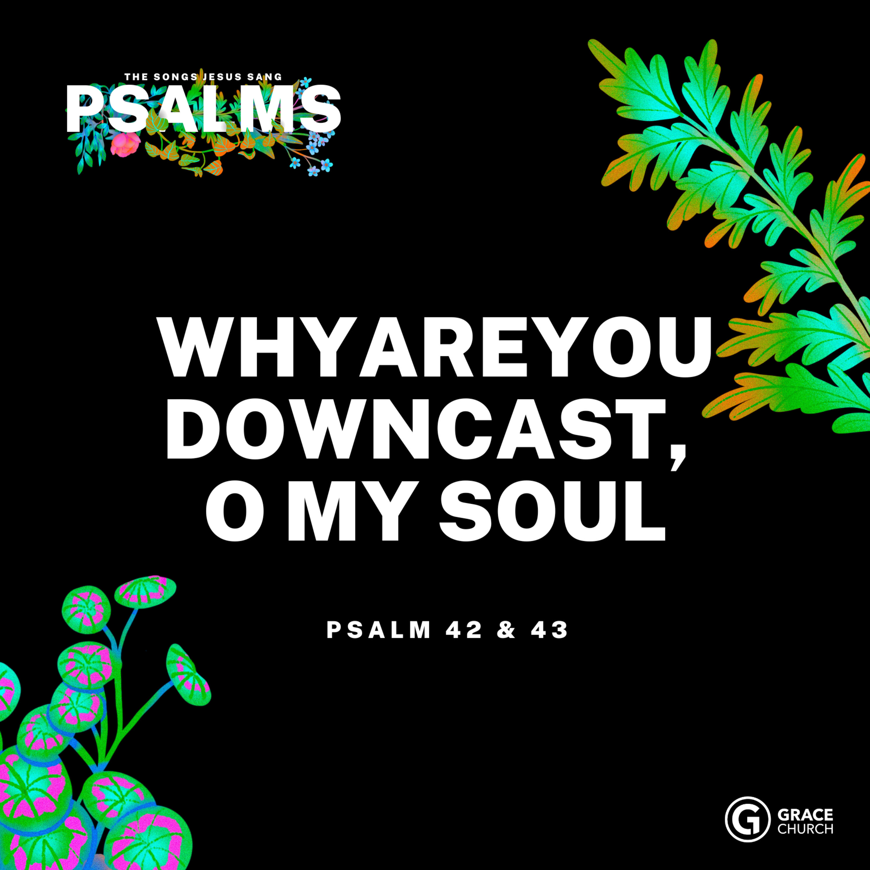 Psalms: The Songs Jesus Sang, Psalms 42 and 43 episode artwork