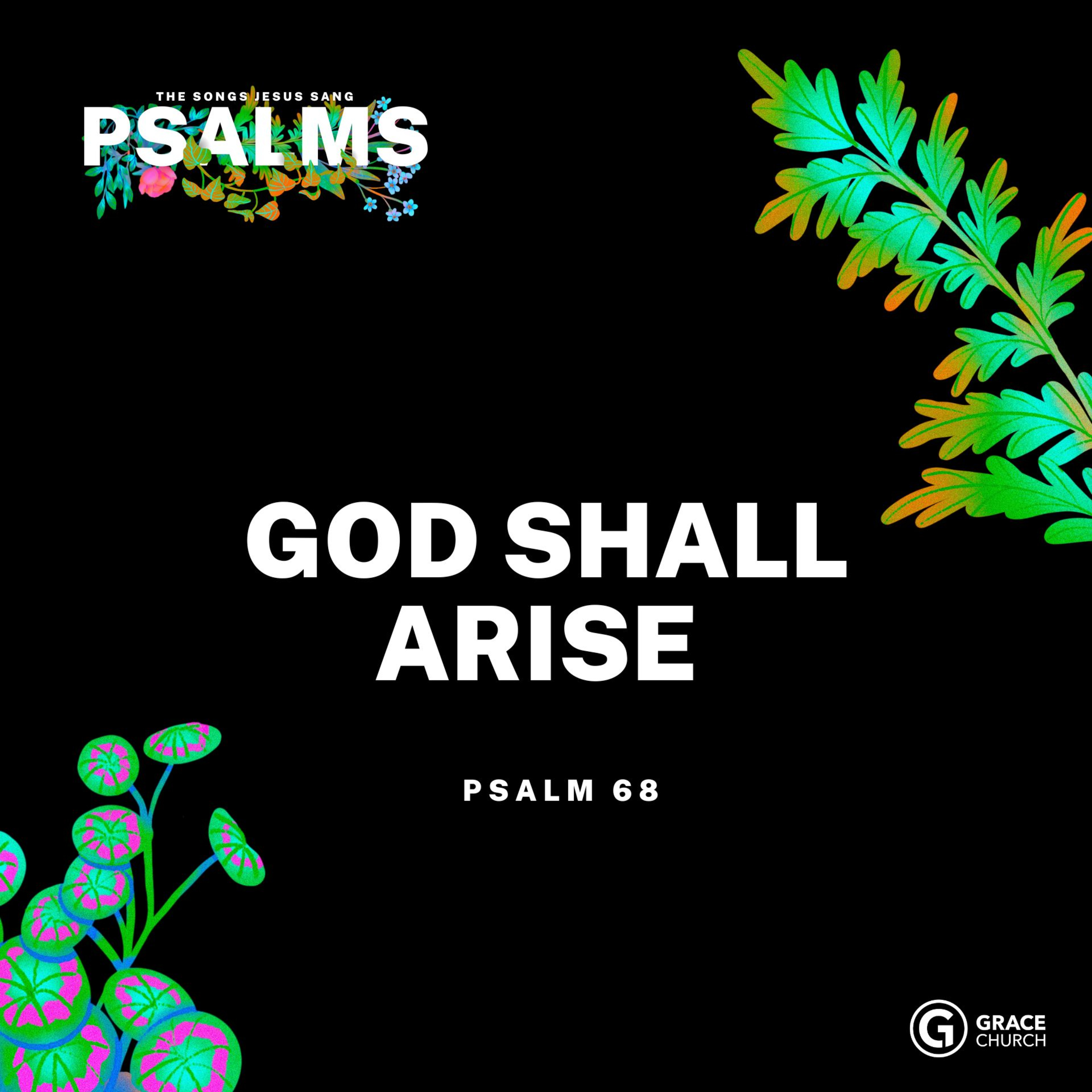 Psalms: The Songs Jesus Sang, Psalms 68 episode artwork