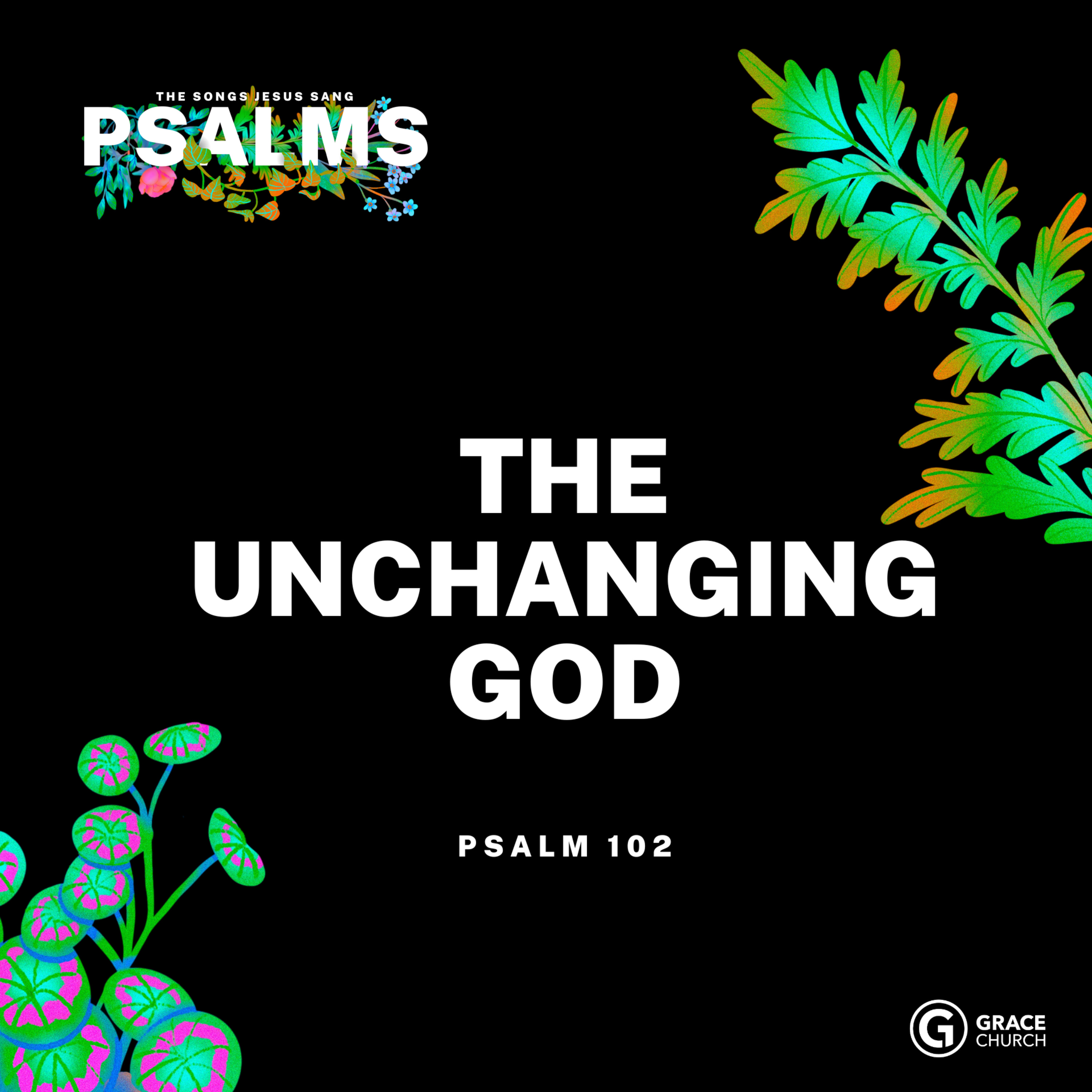 Grace Church Salisbury