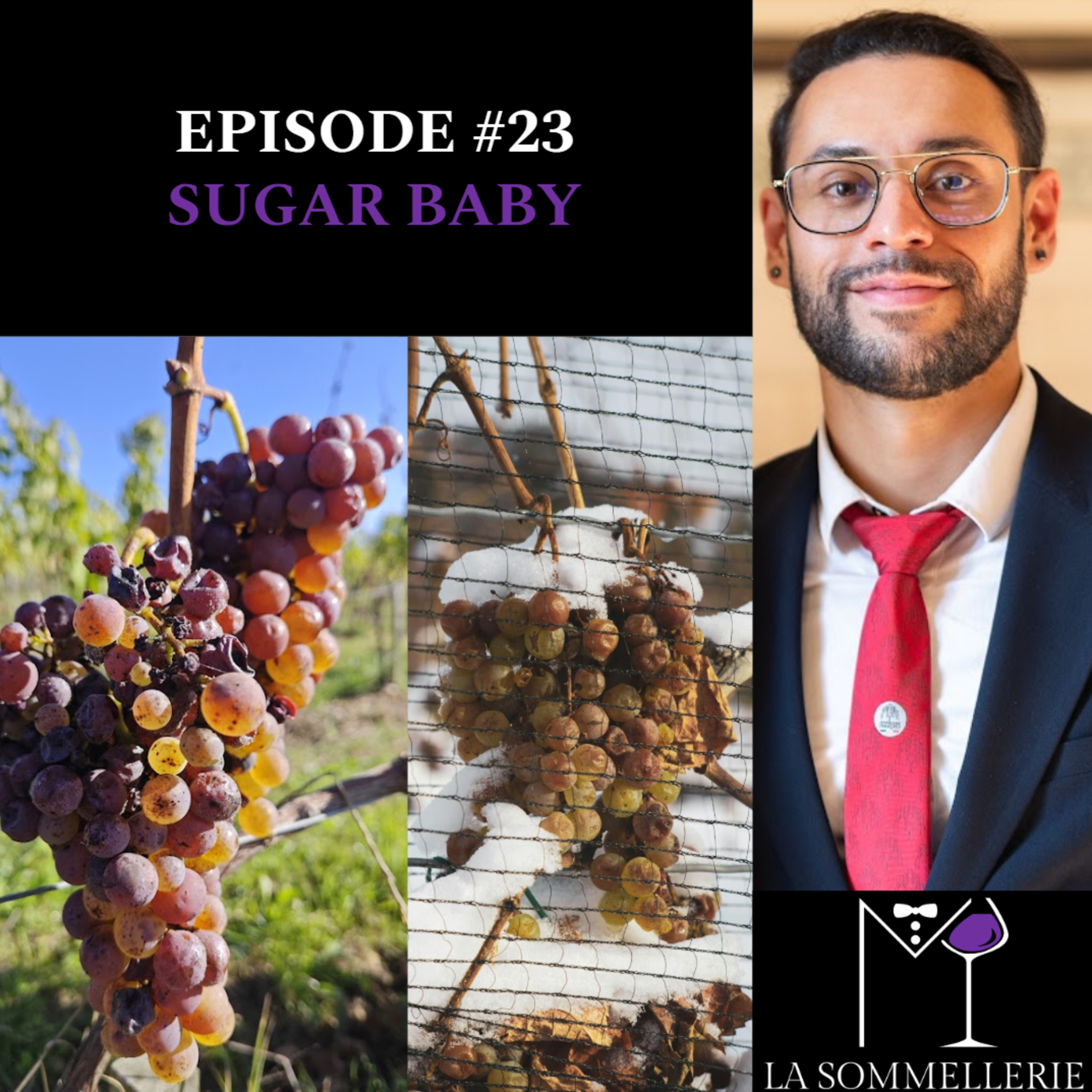 #23 SUGAR BABY - M LA SOMMELLERIE episode artwork
