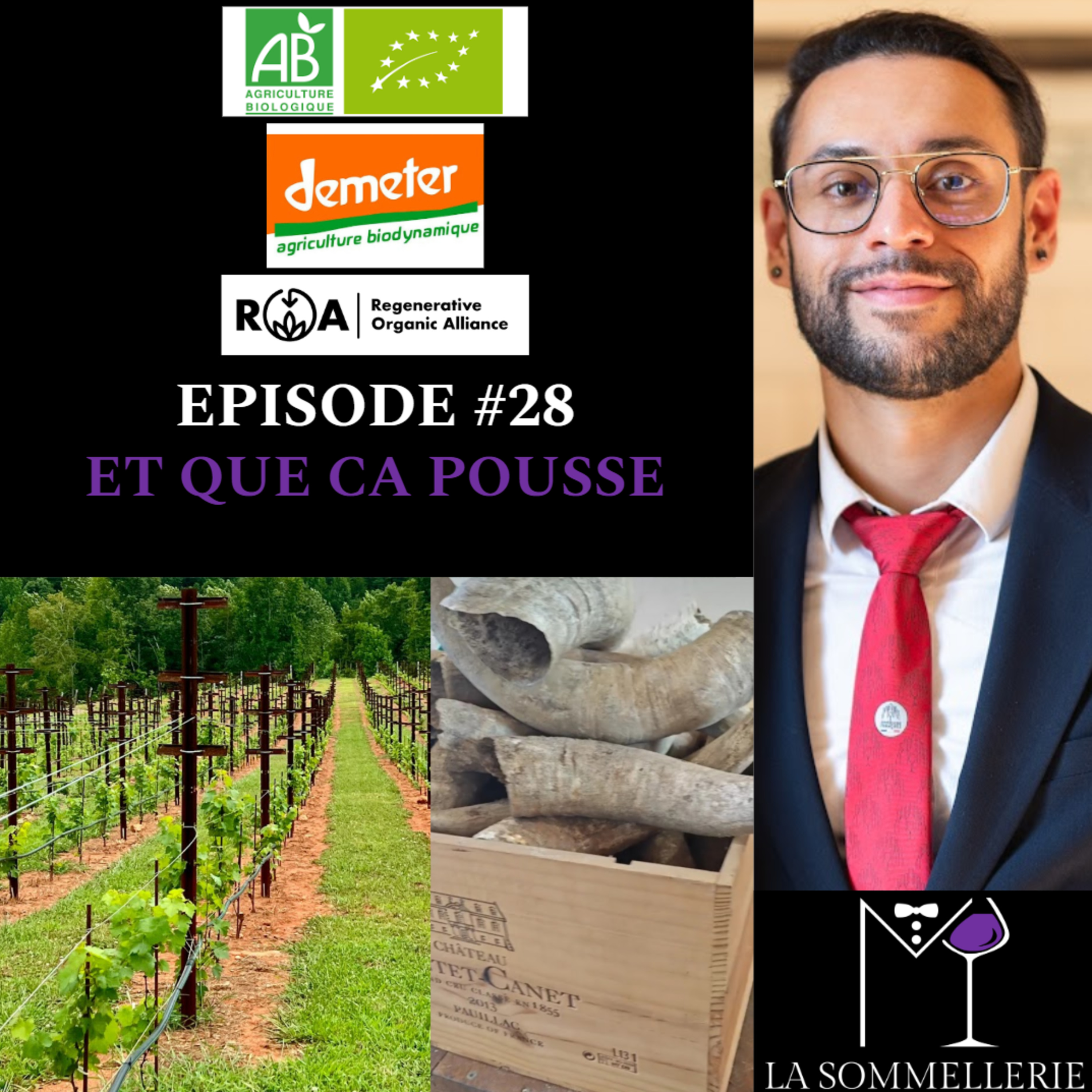 #28 ET QUE CA POUSSE - M LA SOMMELLERIE episode artwork