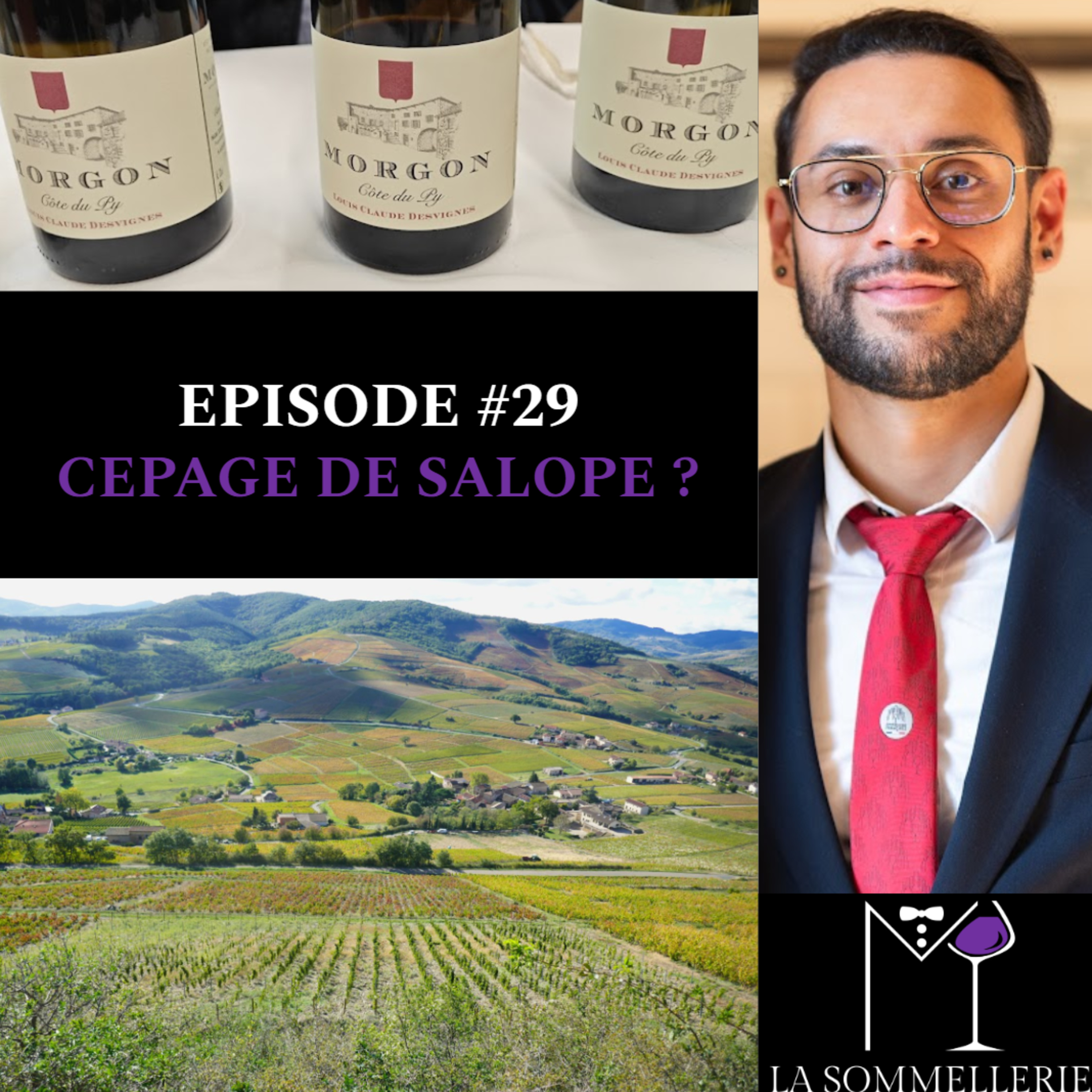  #29 CEPAGE DE SALOPE ? - M LA SOMMELLERIE episode artwork
