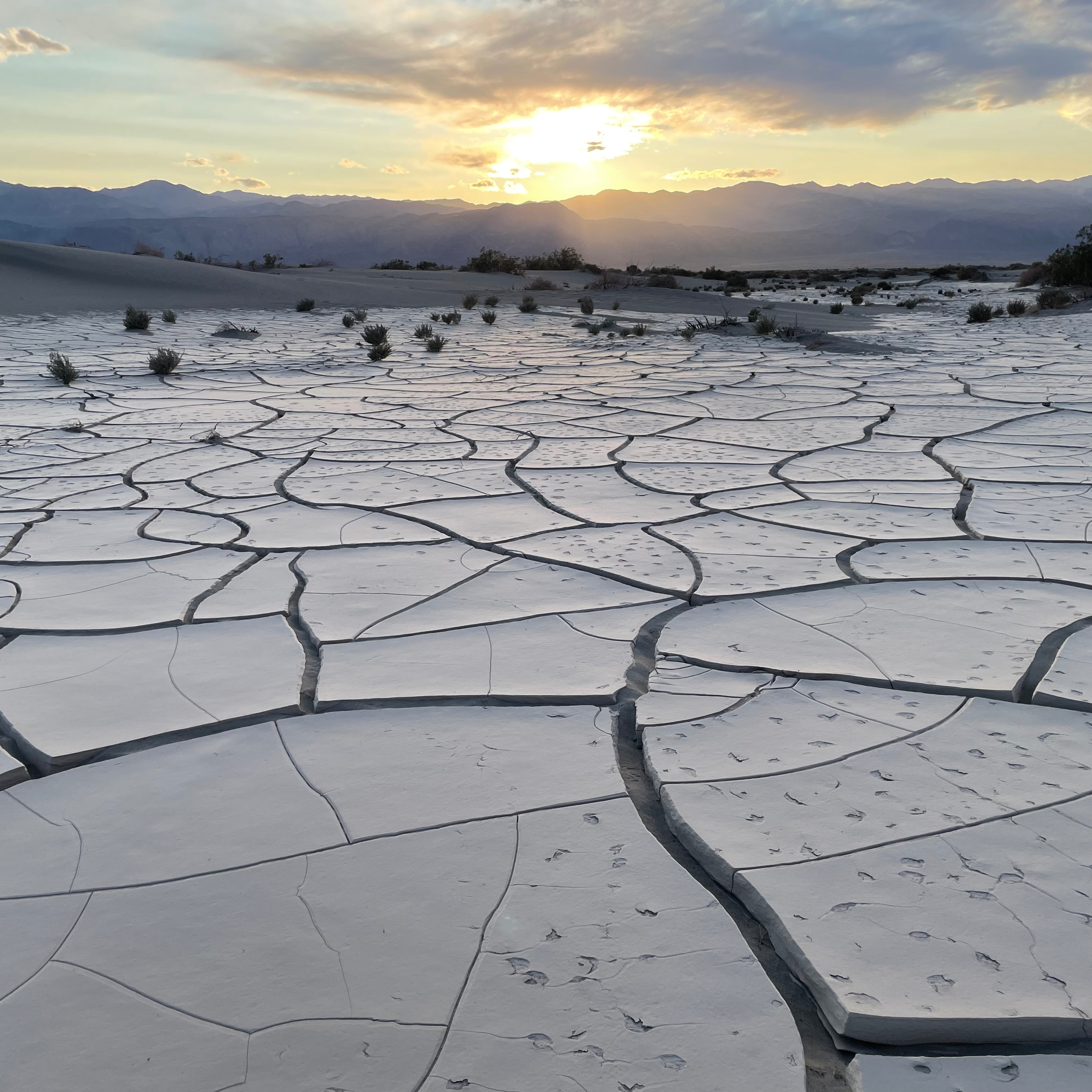 254. Scorpion stings: Live from Death Valley