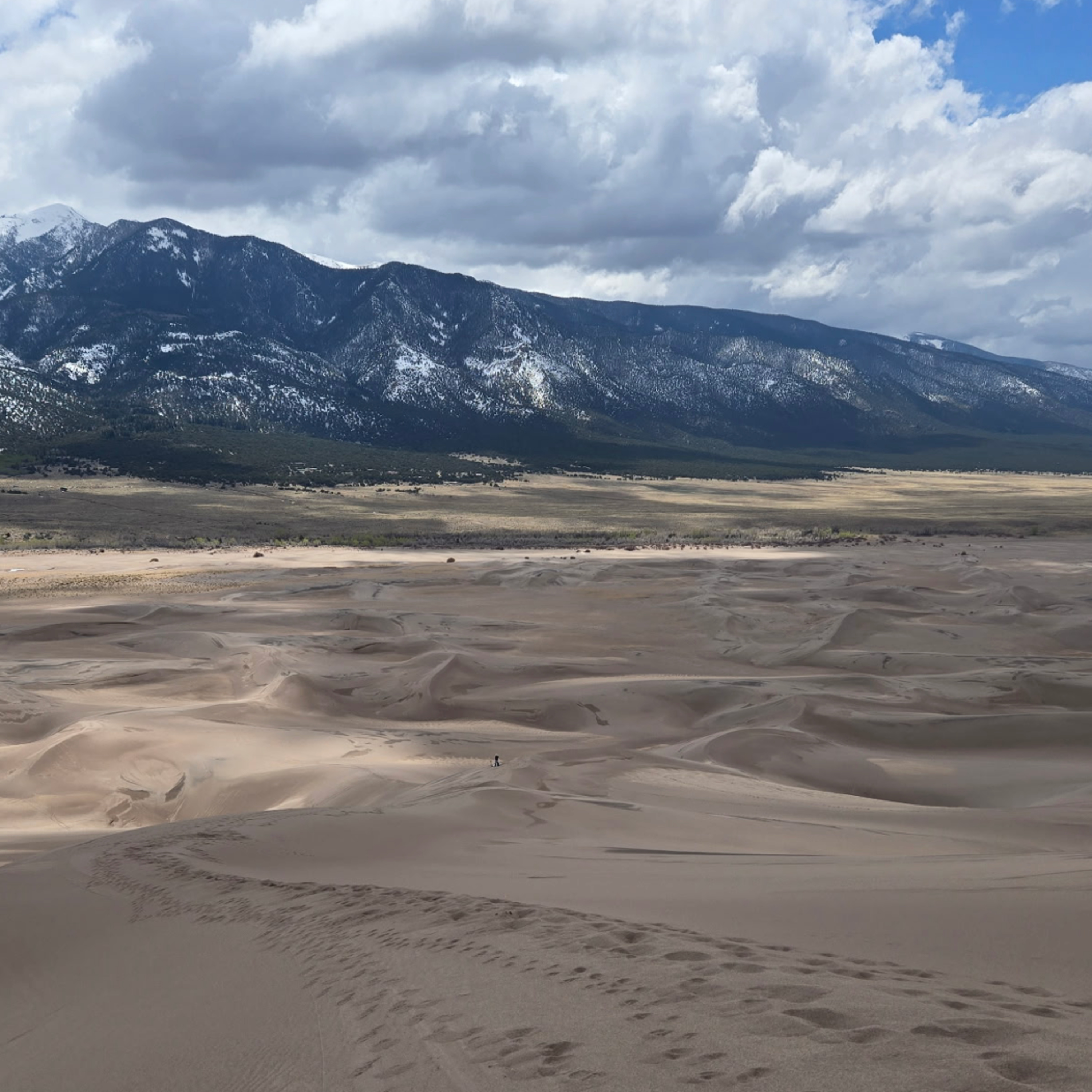 258. Hantavirus: Desert Killer you can't miss