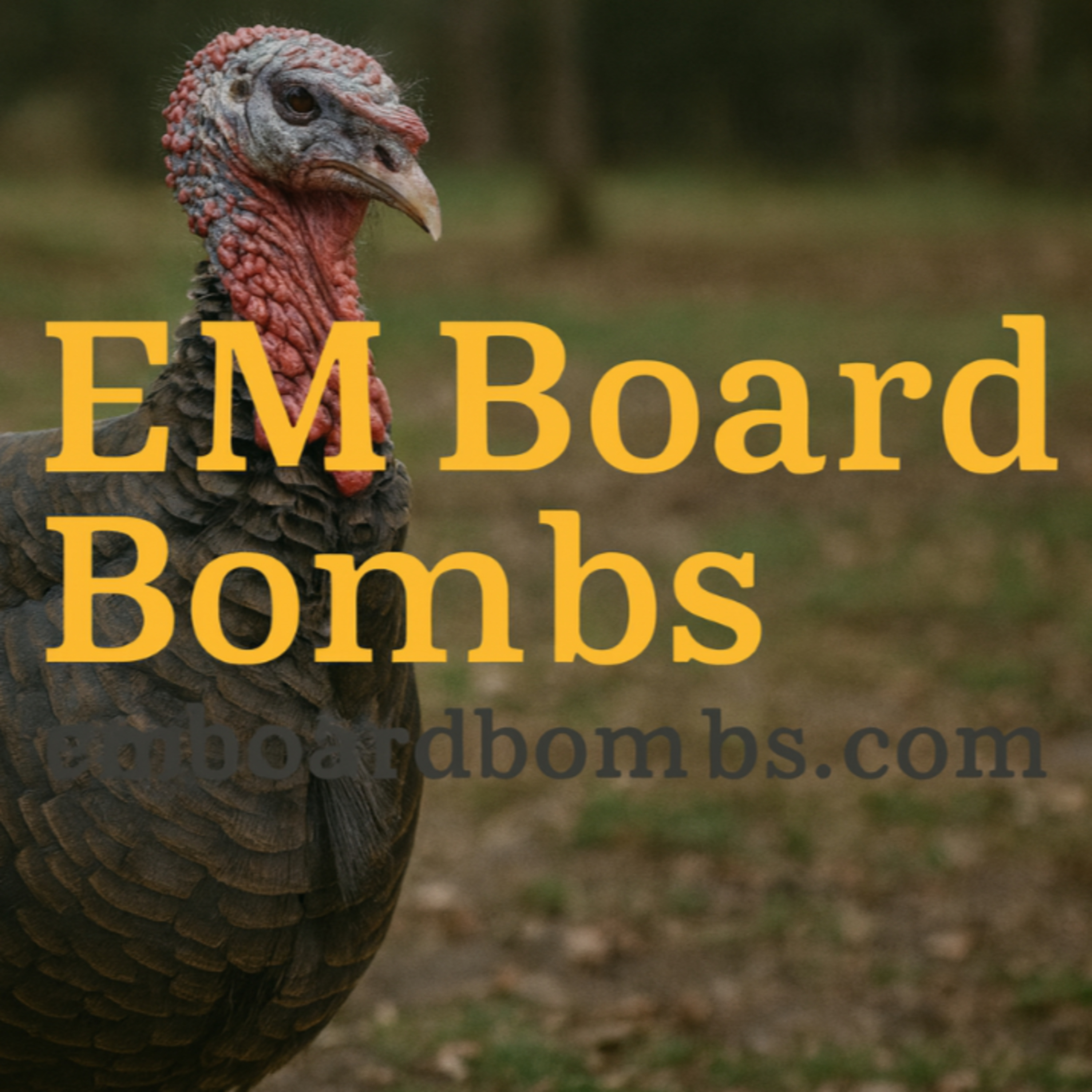 272. Holiday Heart: Who You Can Actually Cardiovert in the ED 272. Holiday Heart: Who You Can Actually Cardiovert in the ED