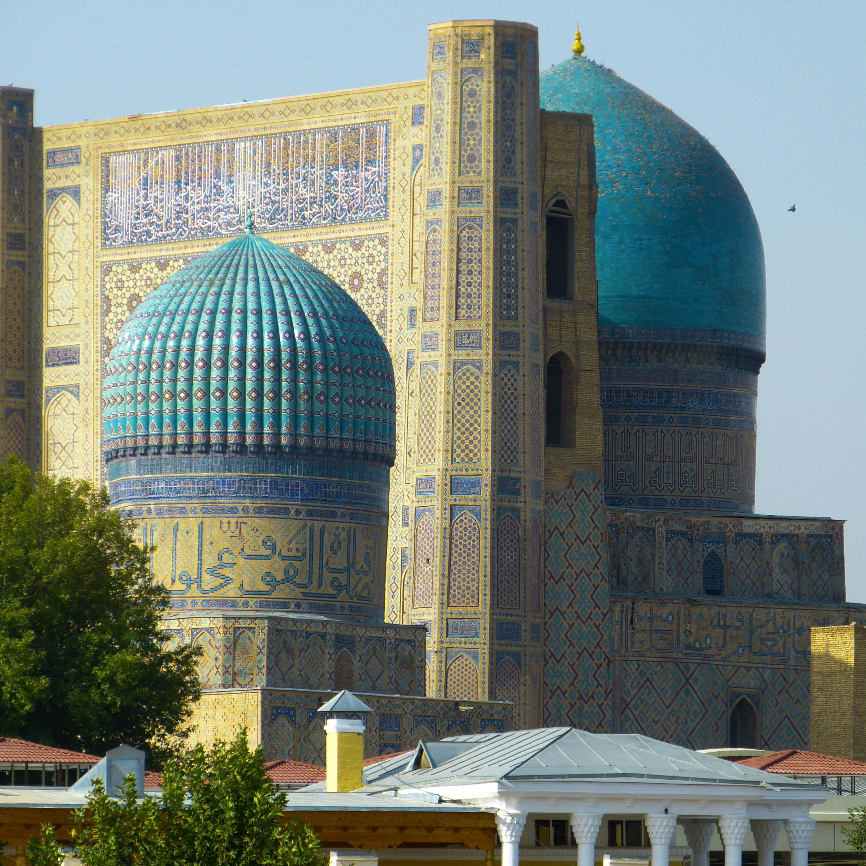 Steppe by Steppe: Journey Through the Heart of Central Asia (Kazakh, Kyrgyz, Tajiki, Uzbek, Mongol)