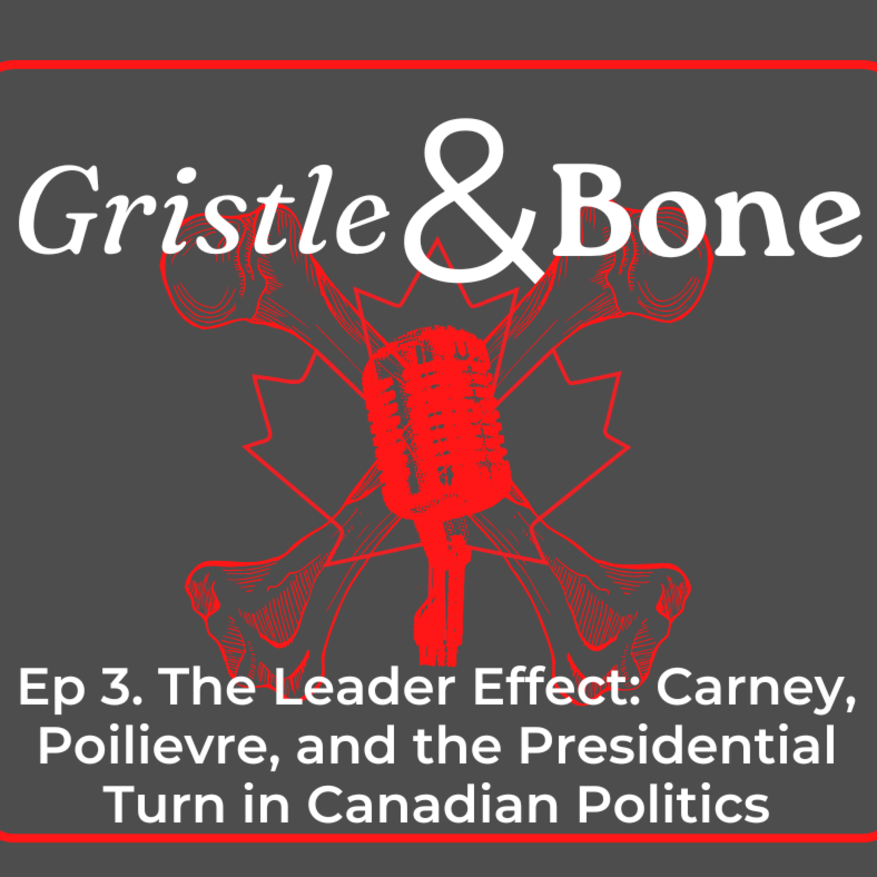 The Leader Effect: Carney, Poilievre, and the Presidential Turn in Canadian Politics episode artwork