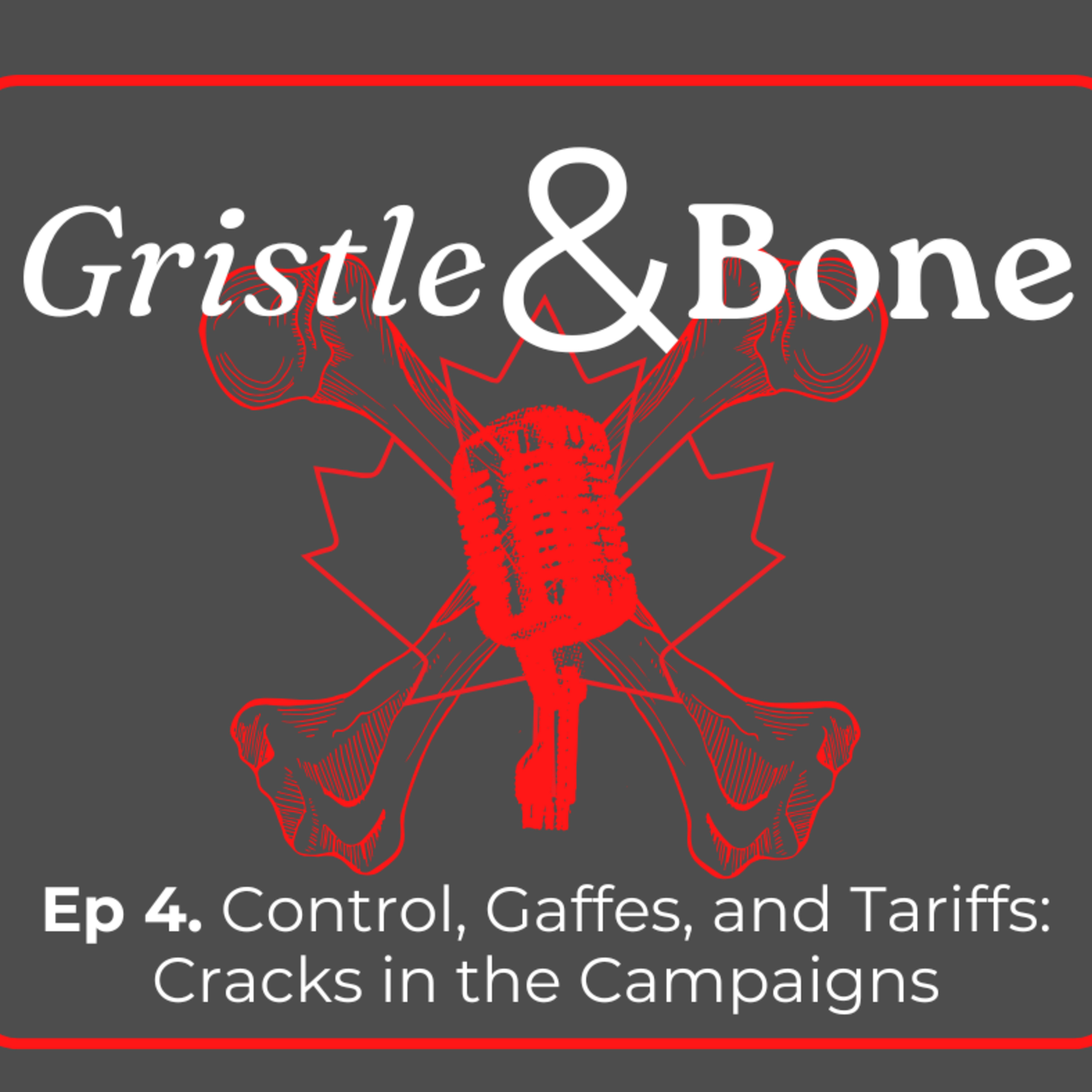 Control, Gaffes, and Tariffs: Cracks in the Campaigns episode artwork