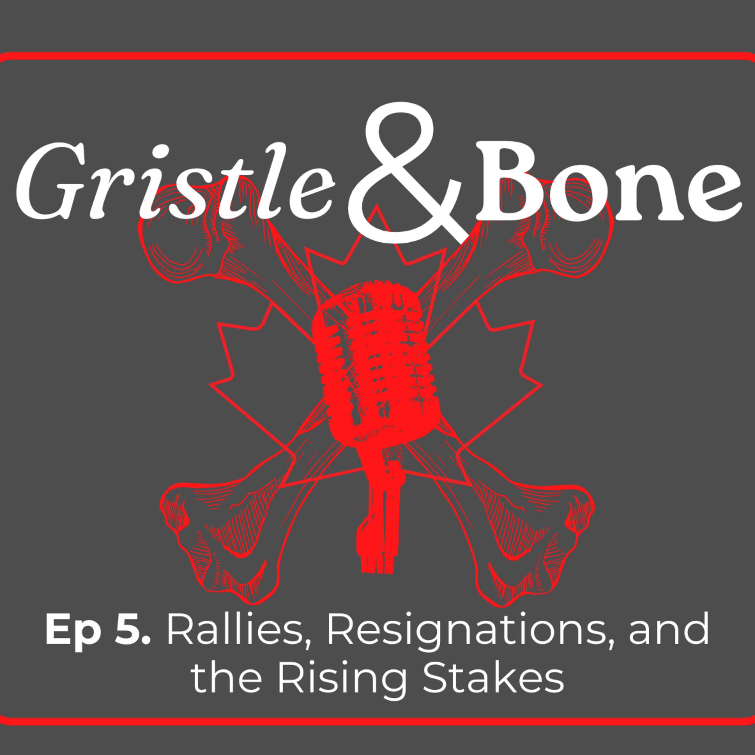 Rallies, Resignations, and the Rising Stakes episode artwork