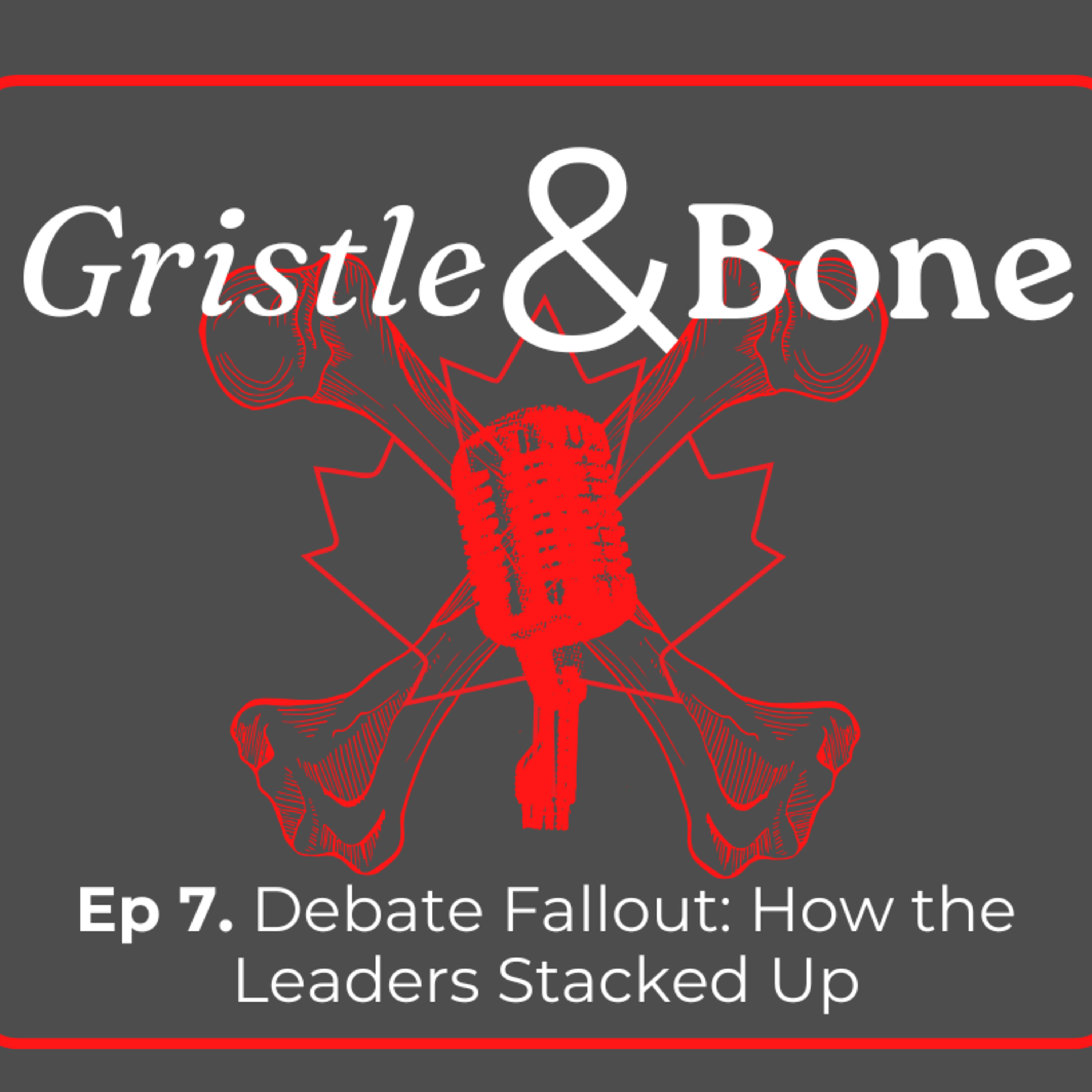Debate Fallout: How the Leaders Stacked Up episode artwork