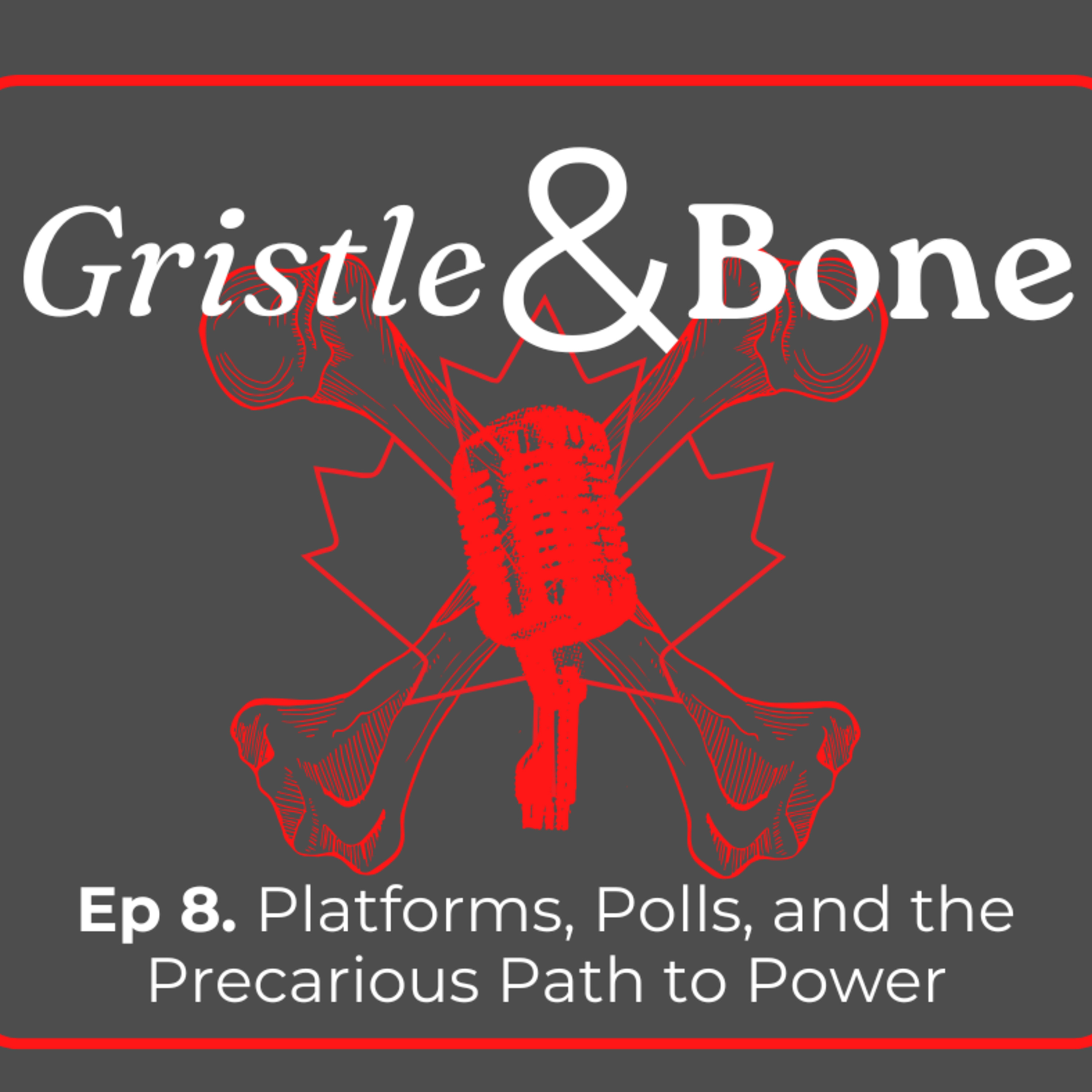 Platforms, Polls, and the Precarious Path to Power episode artwork