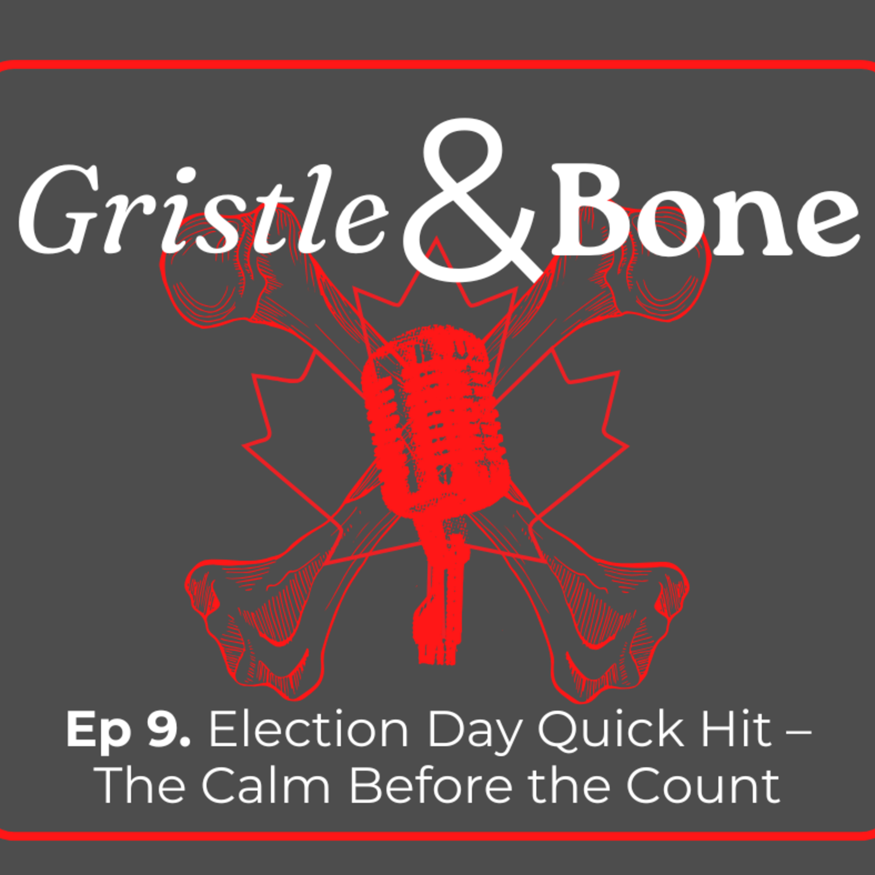 Election Day Quick Hit – The Calm Before the Count episode artwork