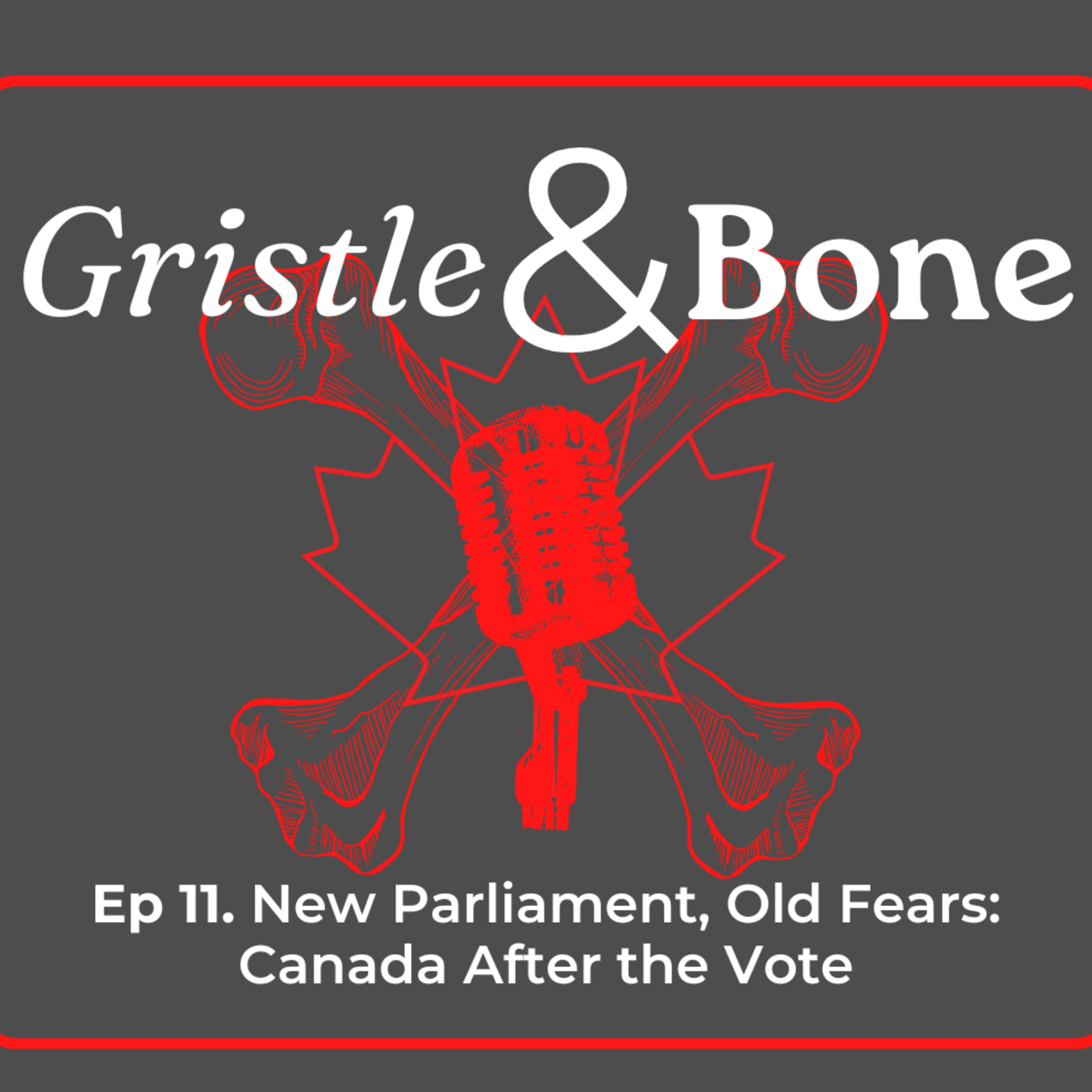 New Parliament, Old Fears: Canada After the Vote episode artwork
