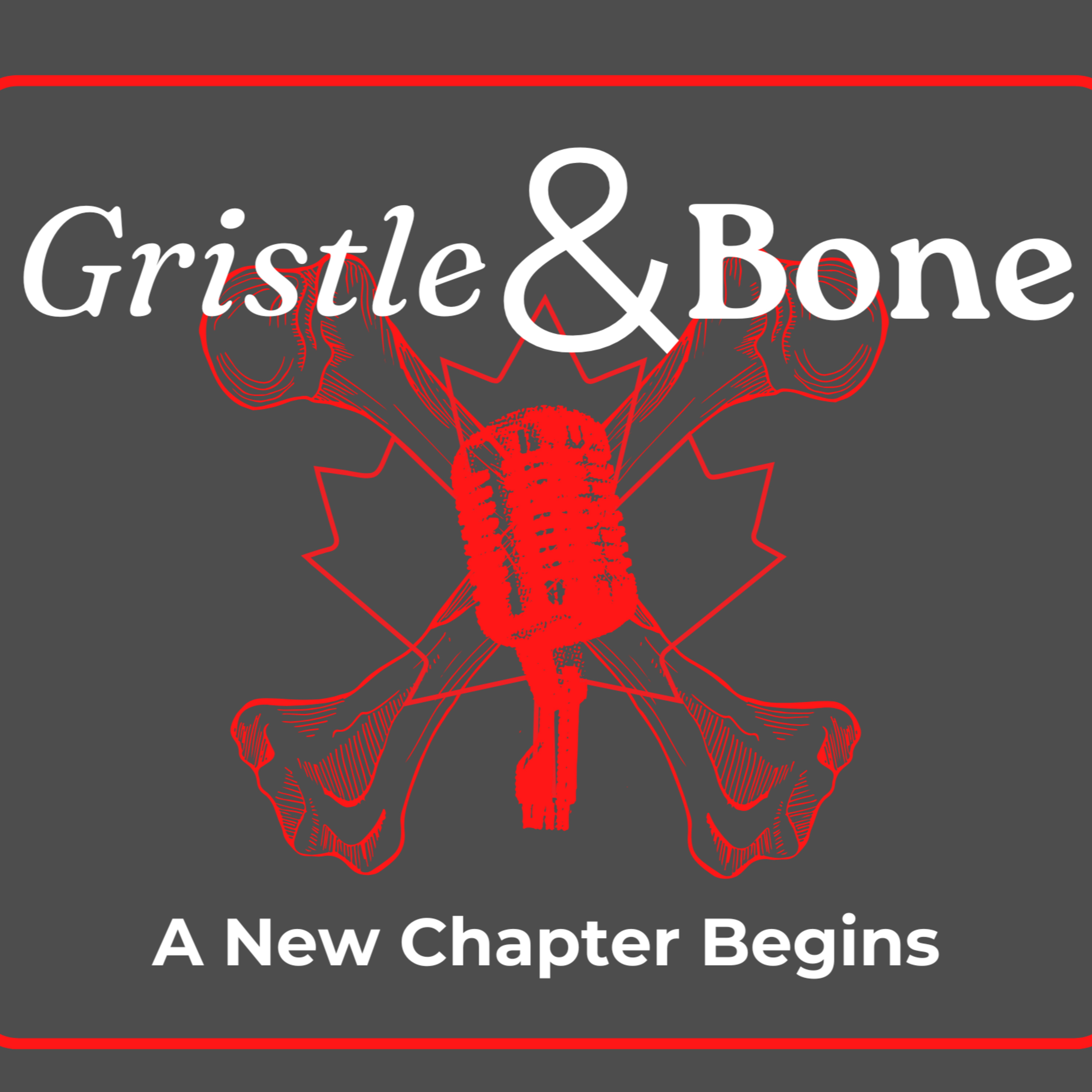 A New Chapter Begins episode artwork