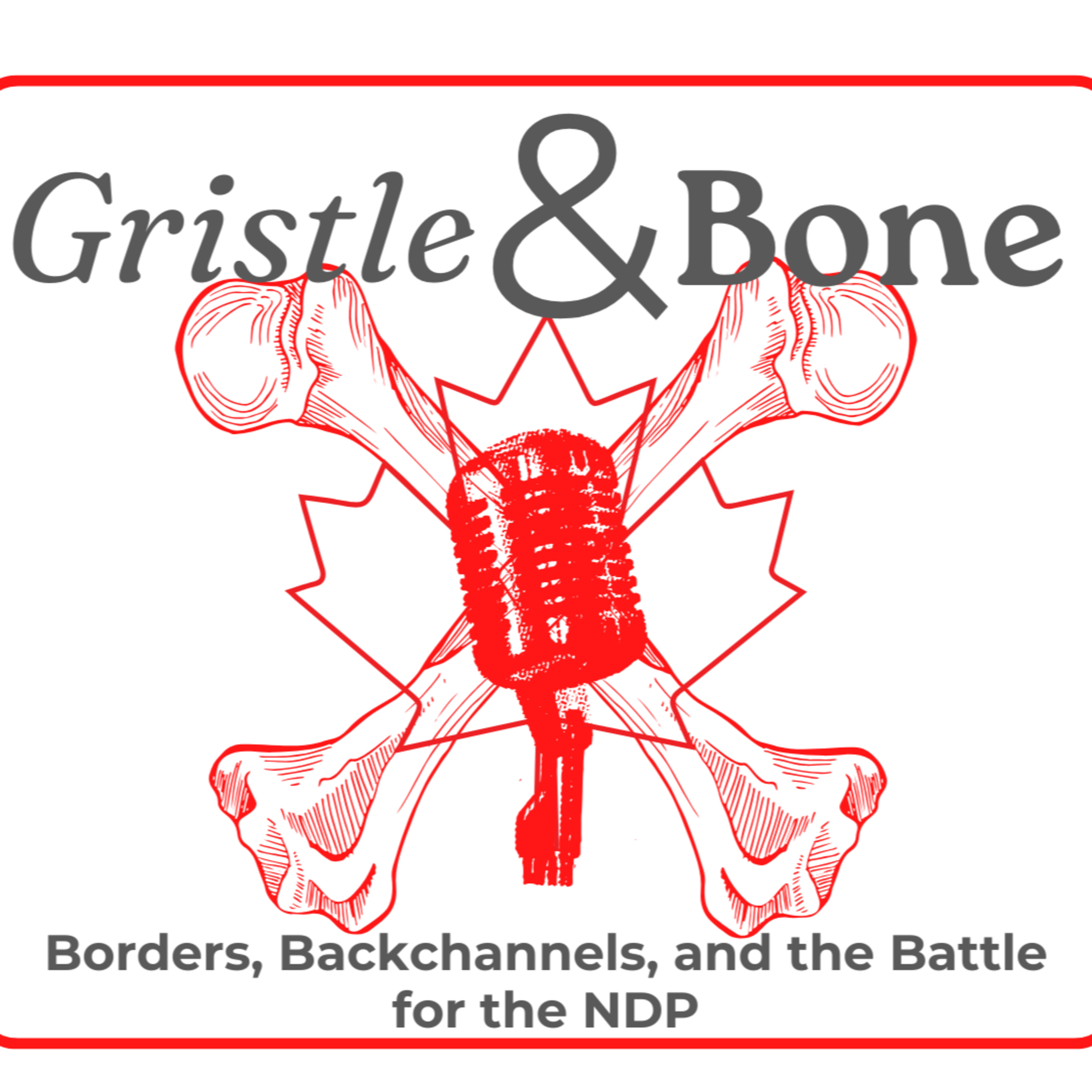 Borders, Backchannels, and the Battle for the NDP episode artwork