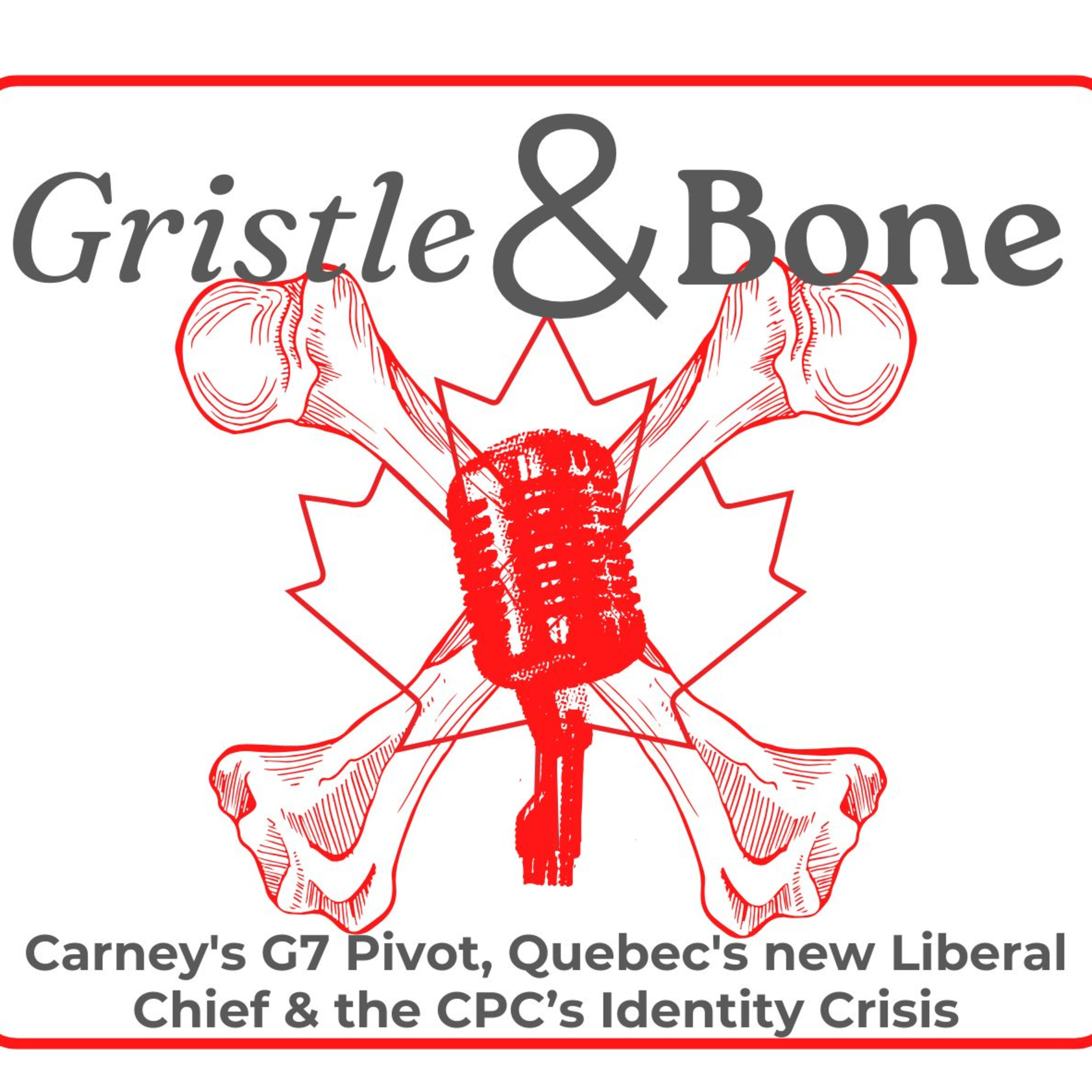 Carney's G7 Pivot, Quebec's new Liberal Chief & the CPC’s Identity Crisis episode artwork
