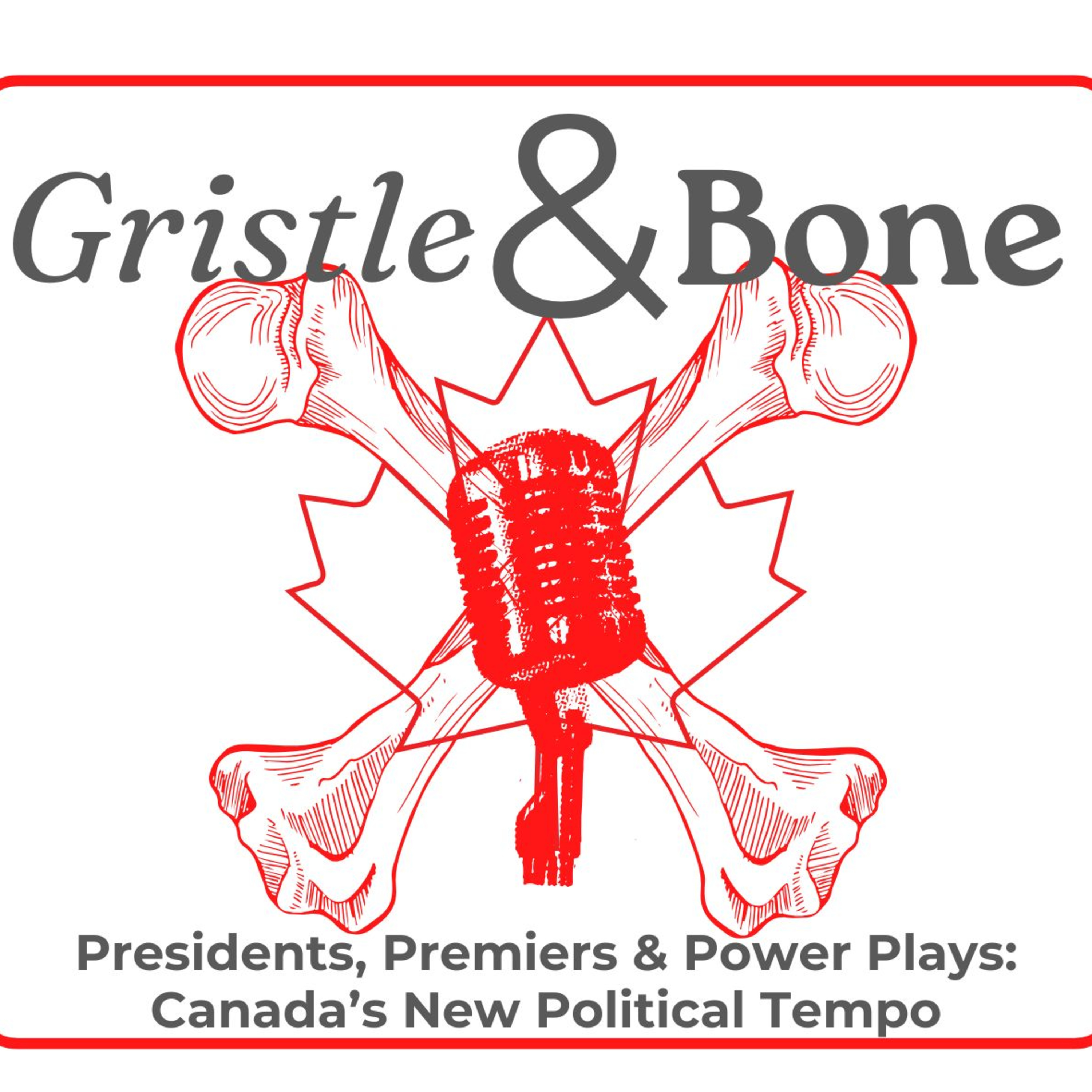 Presidents, Premiers & Power Plays: Canada’s New Political Tempo episode artwork