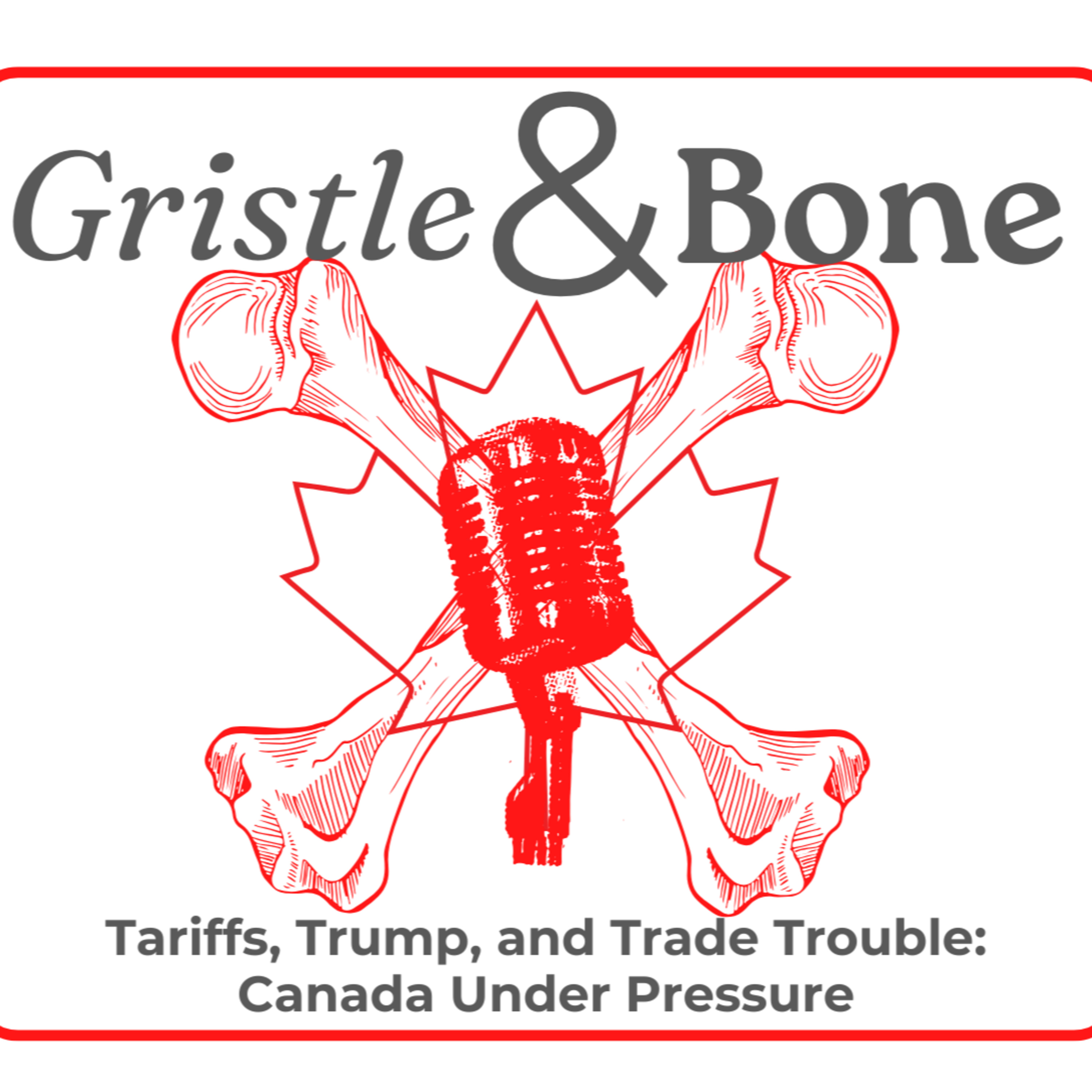 Tariffs, Trump, and Trade Trouble: Canada Under Pressure episode artwork