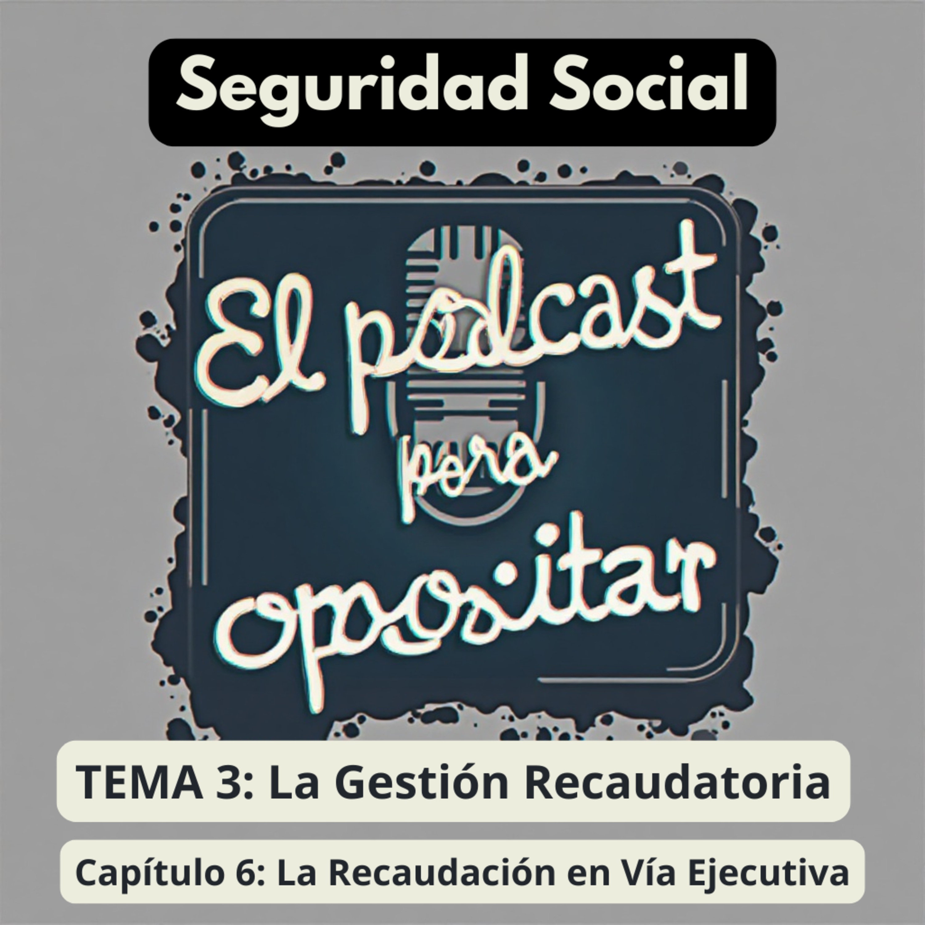 Oposiciones Seguridad Social. Tema 3: La Gestión Recaudatoria. Capítulo 6: La Recaudación en Vía Ejecutiva episode artwork