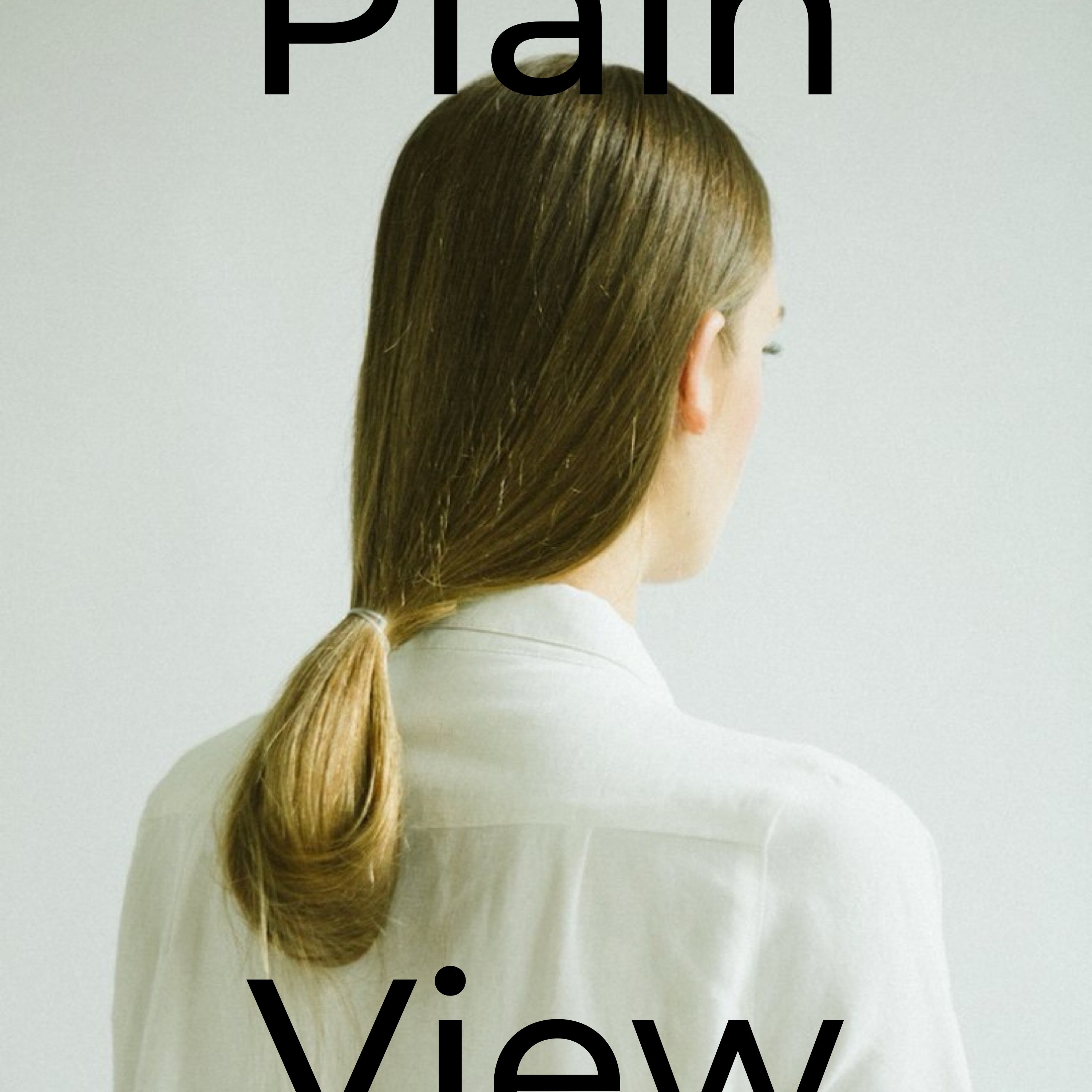 Plain View