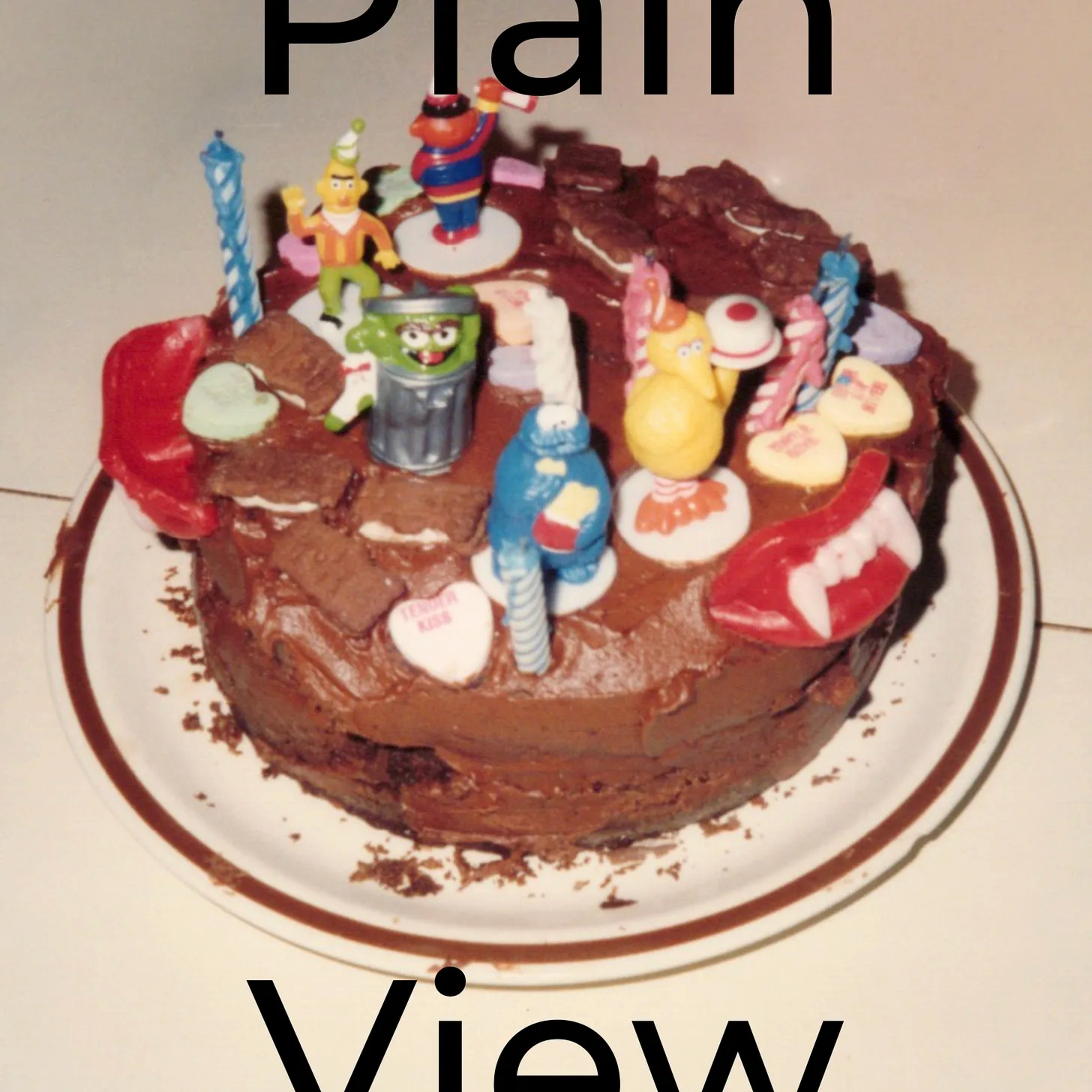 Plain View