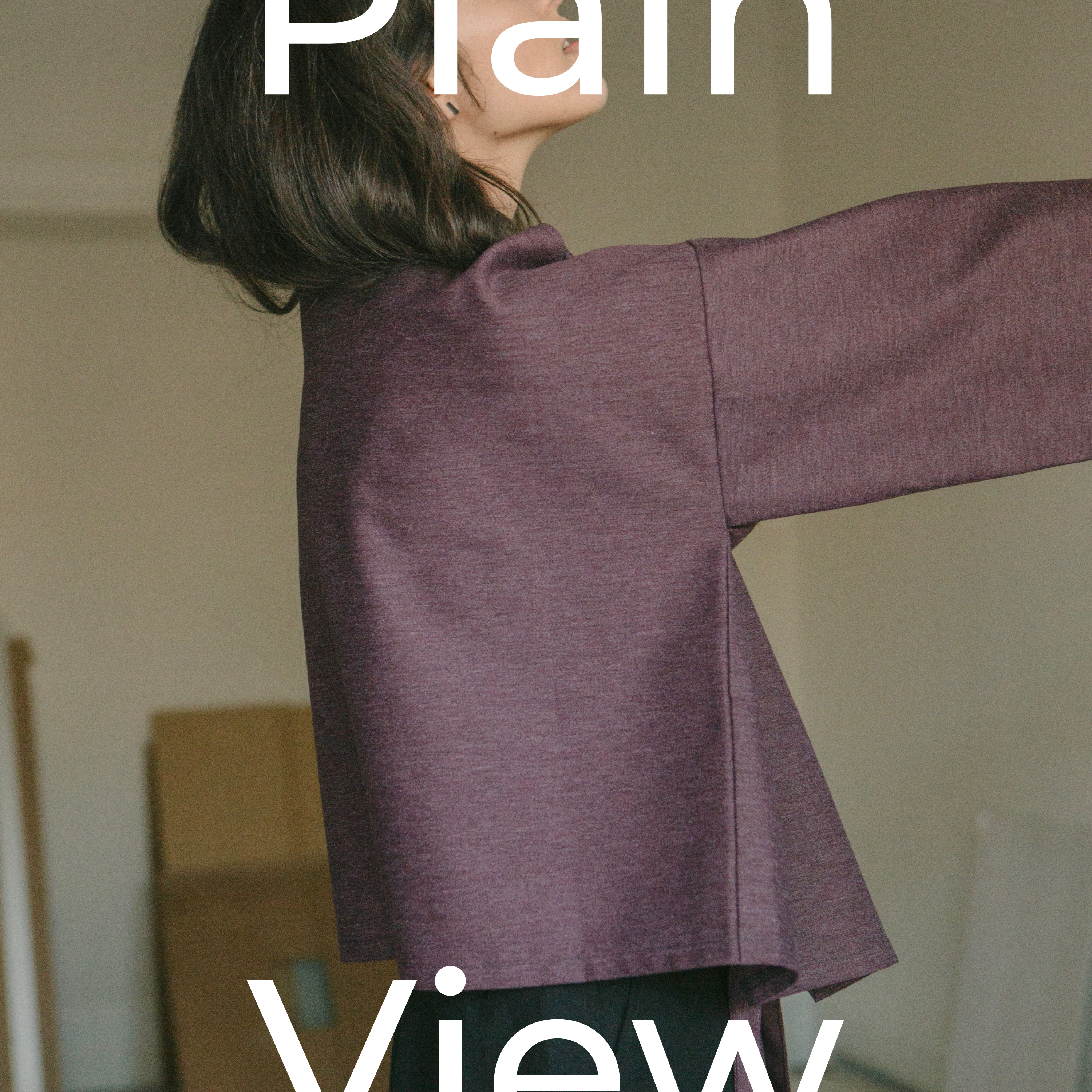 Plain View