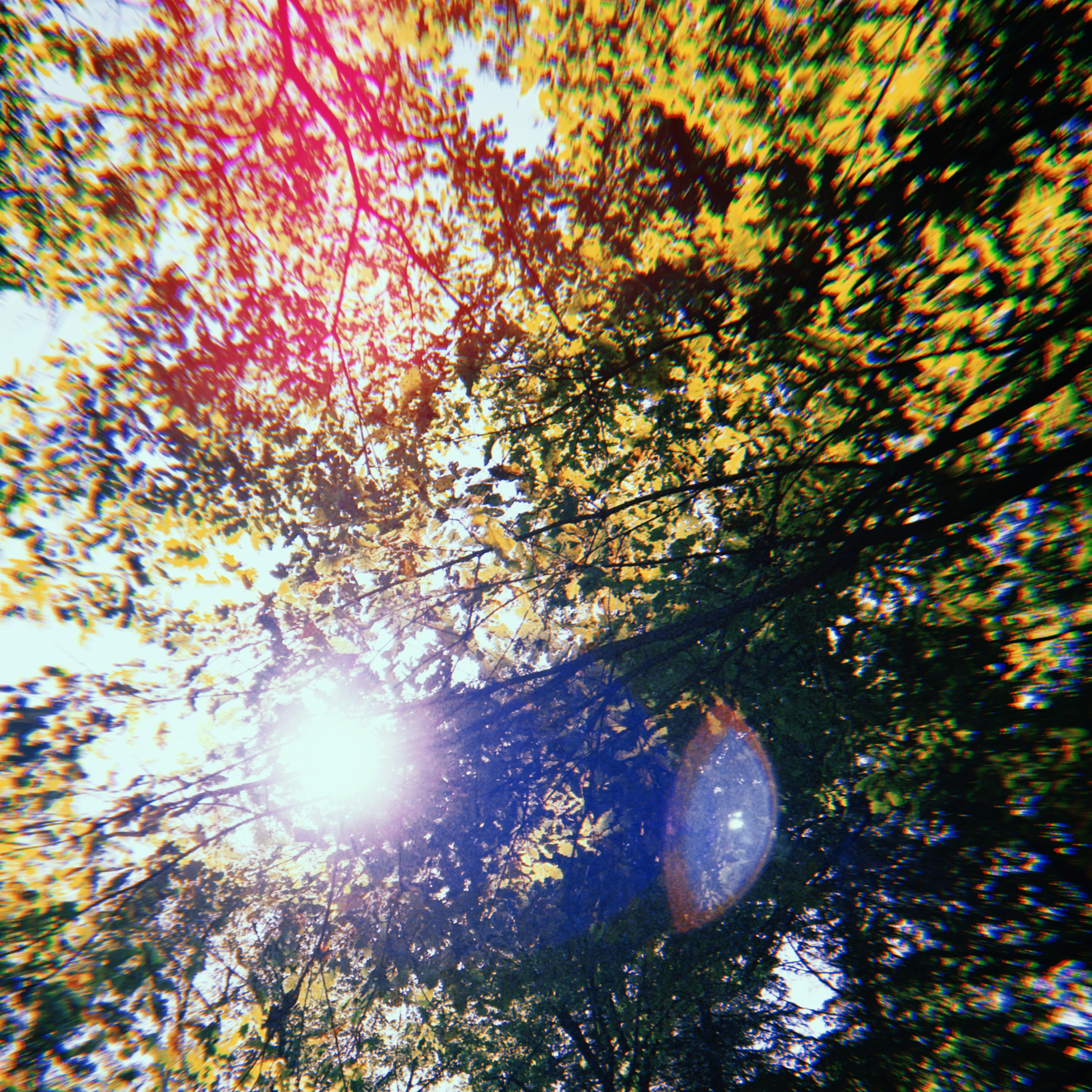 La stanza dello spirito e del tempo