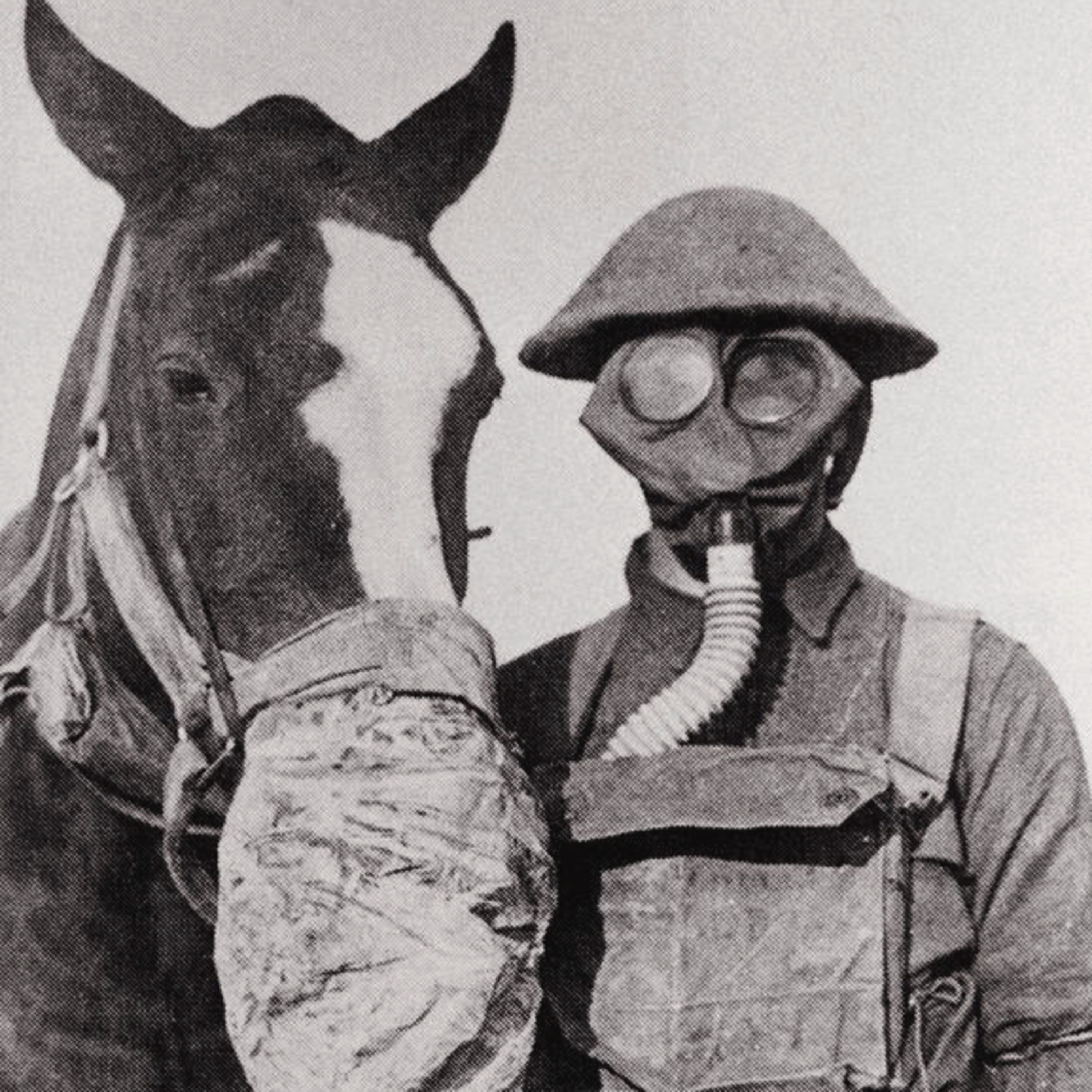 World War One Stories- Tales Beyond The Trenches