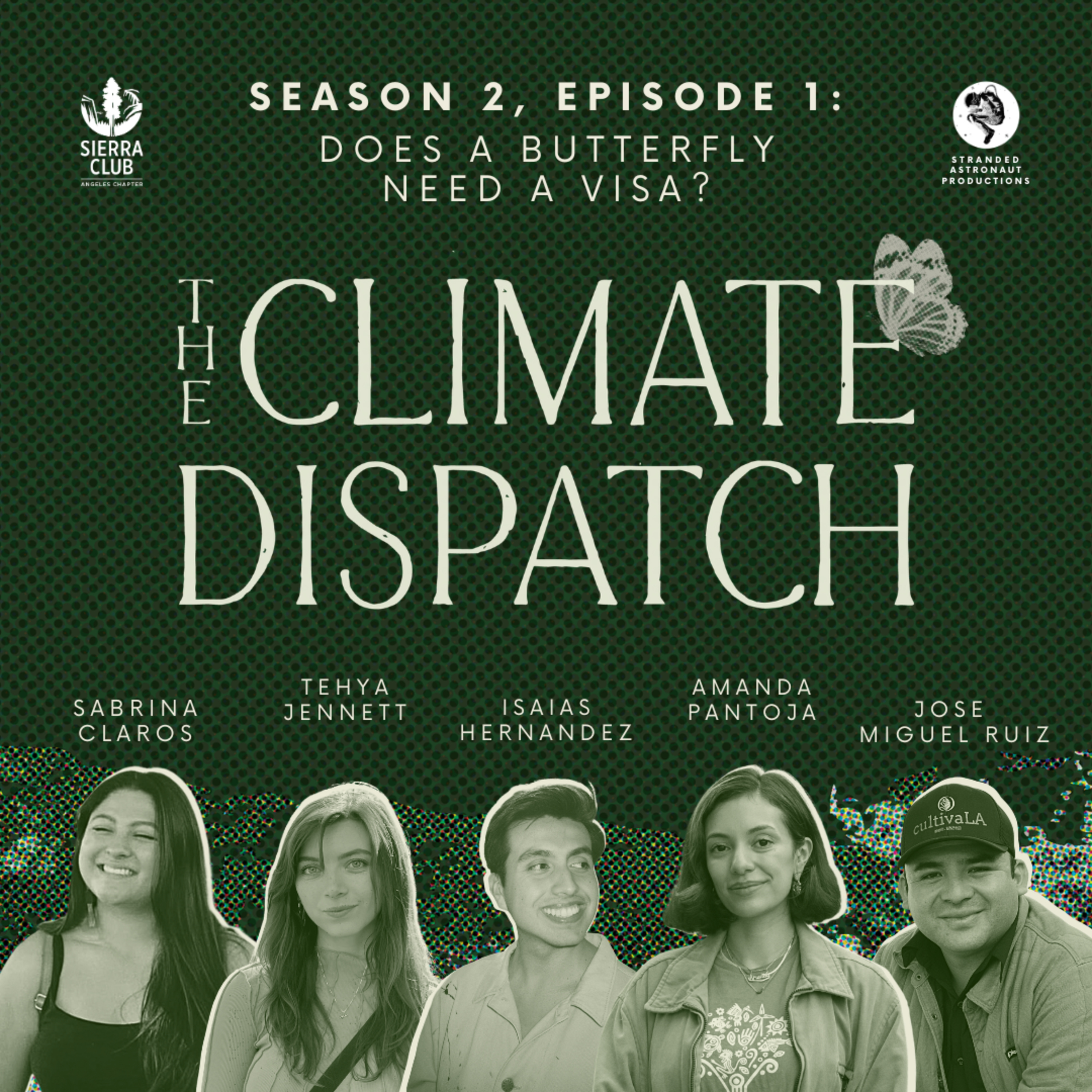 Does A Butterfly Need A Visa?