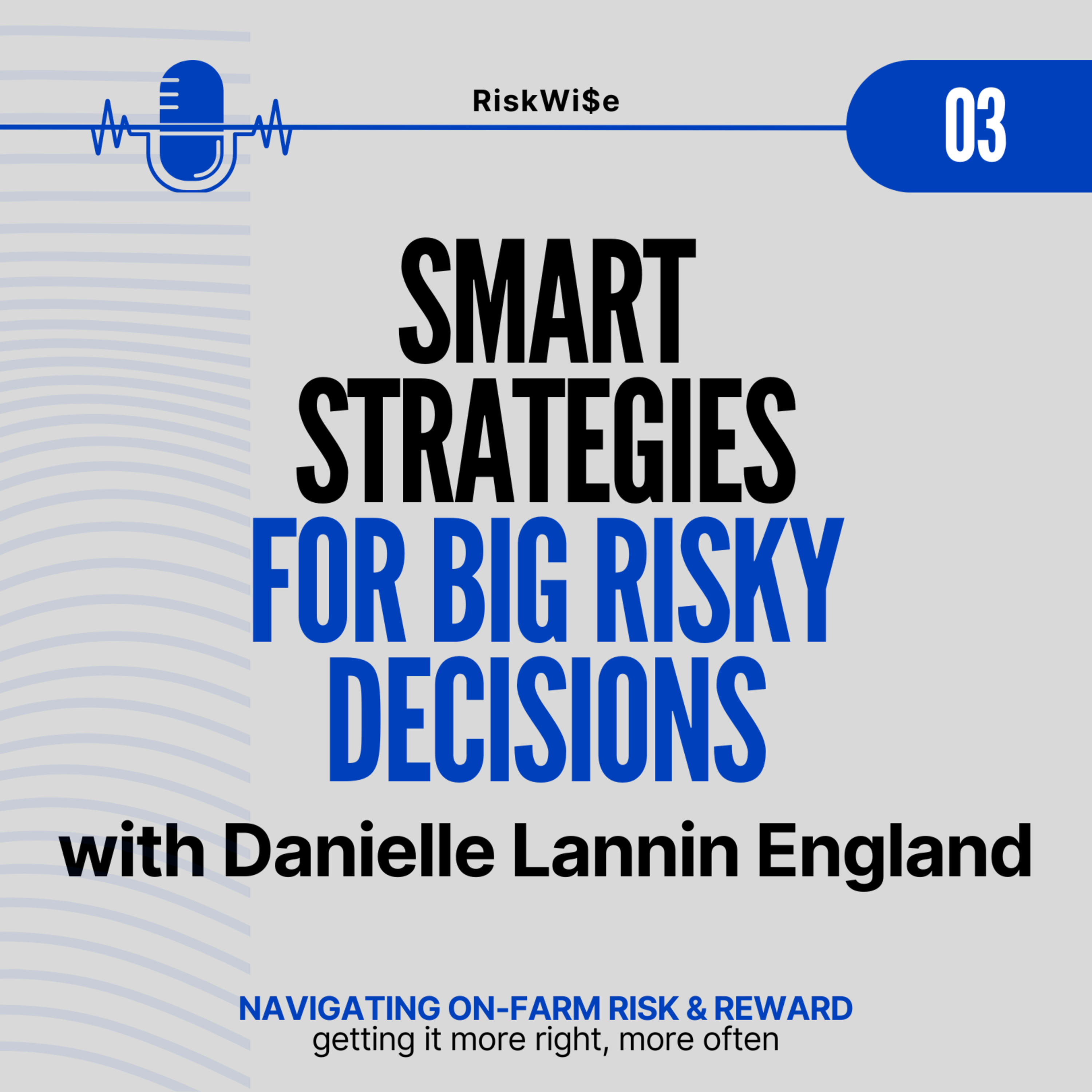 Smart strategies for big risky decisions episode artwork