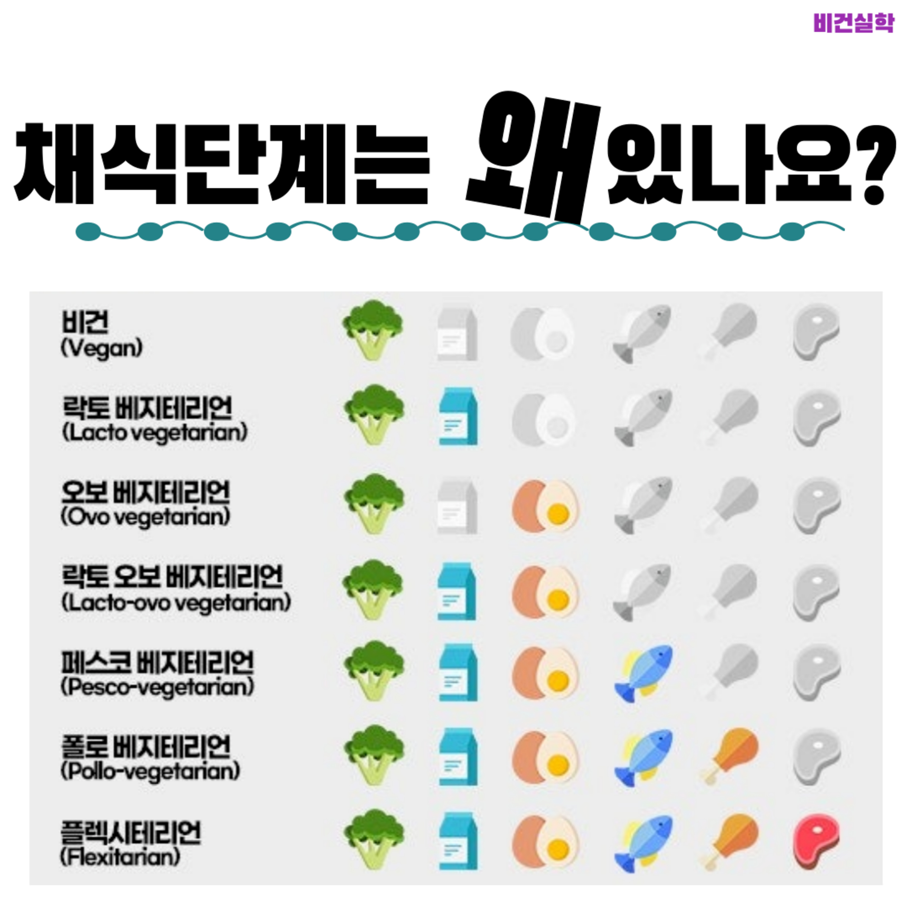 EP.41 채식단계는 왜 있나요? episode artwork