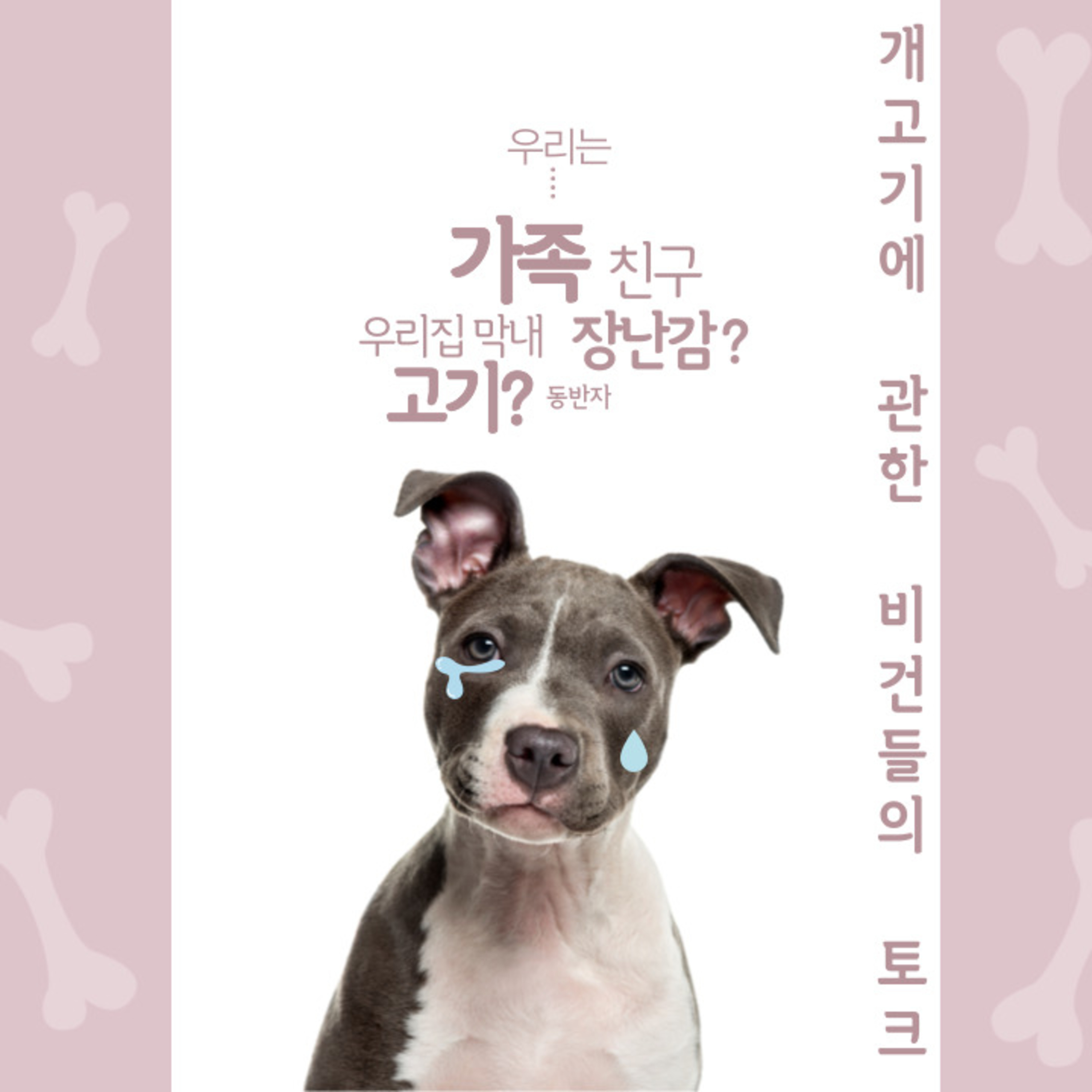 EP.36 개식용 찬반대결에 대한 비건들의 토크 episode artwork