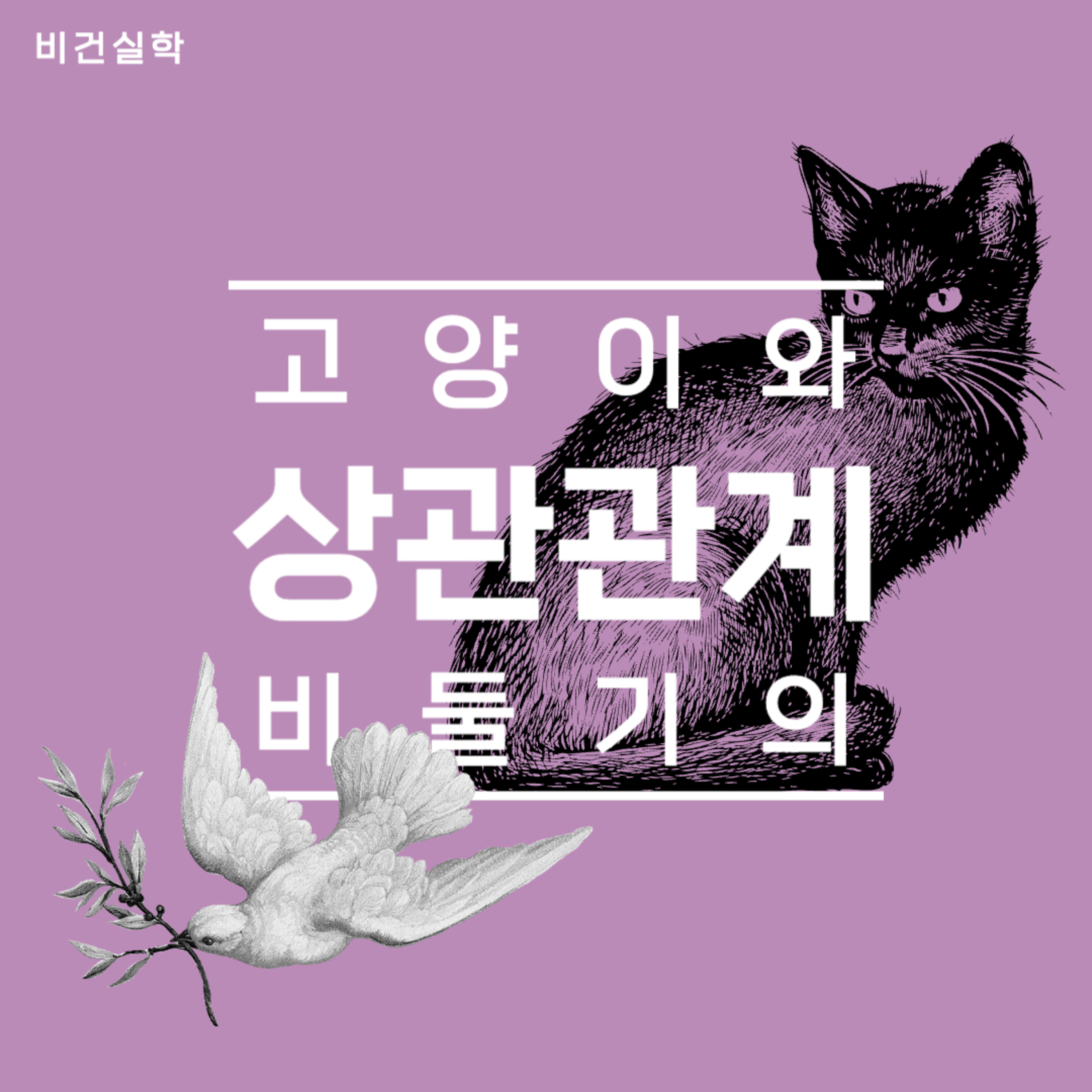 EP.56 고양이와 비둘기의 상관관계 episode artwork