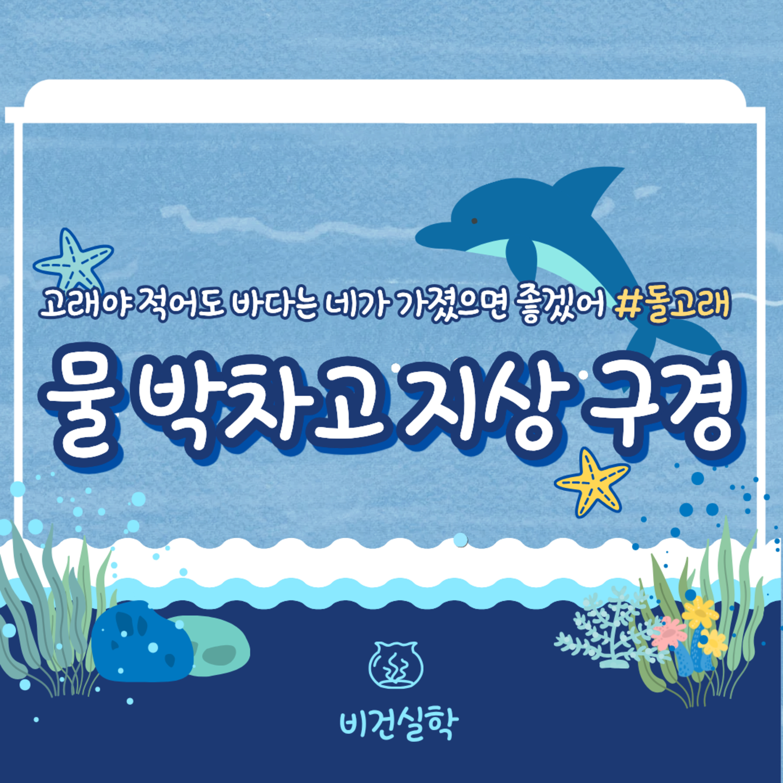 EP.76 물 박차고 지상 구경: 돌고래 episode artwork