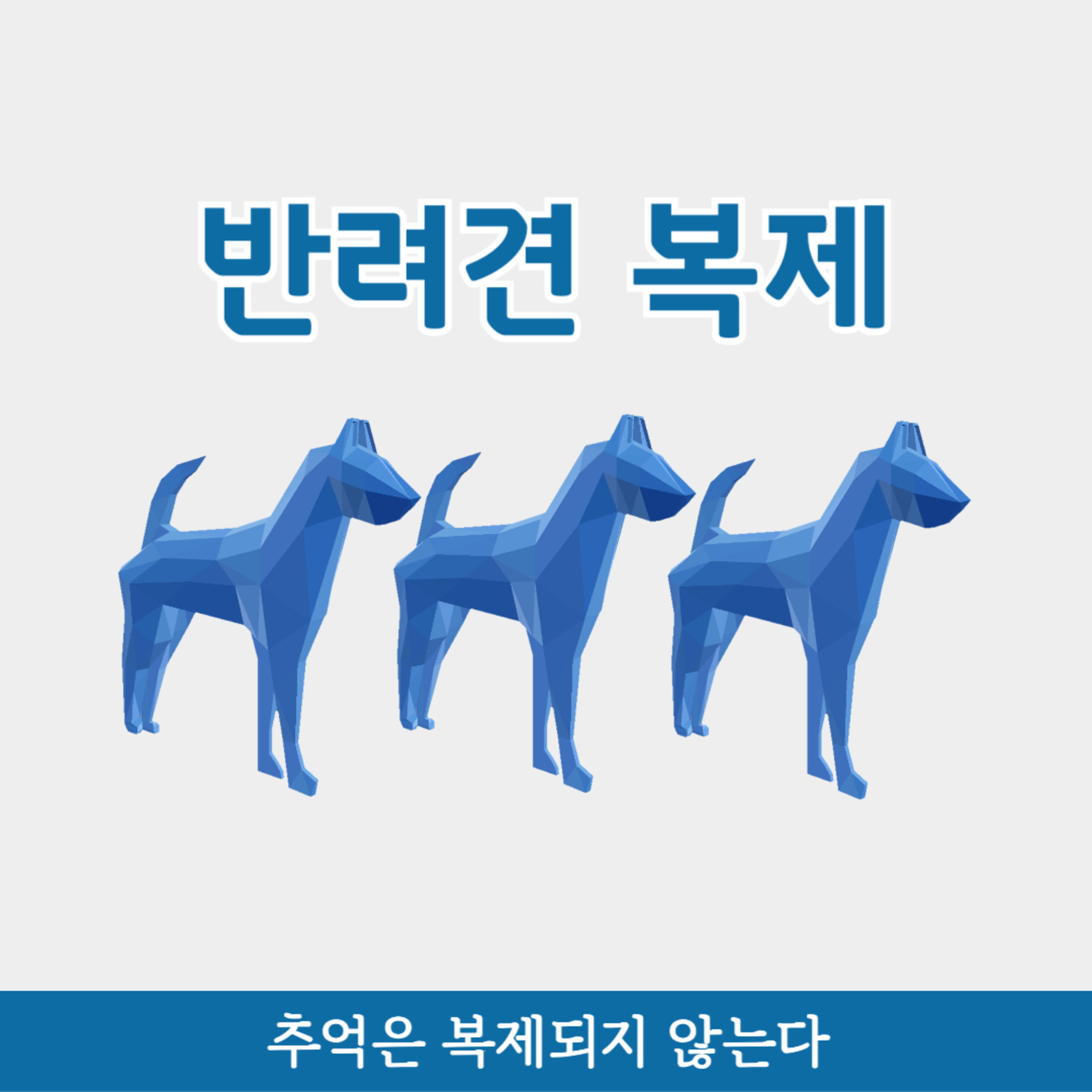 EP.78 반려견 복제, 추억은 복제되지 않는다. episode artwork