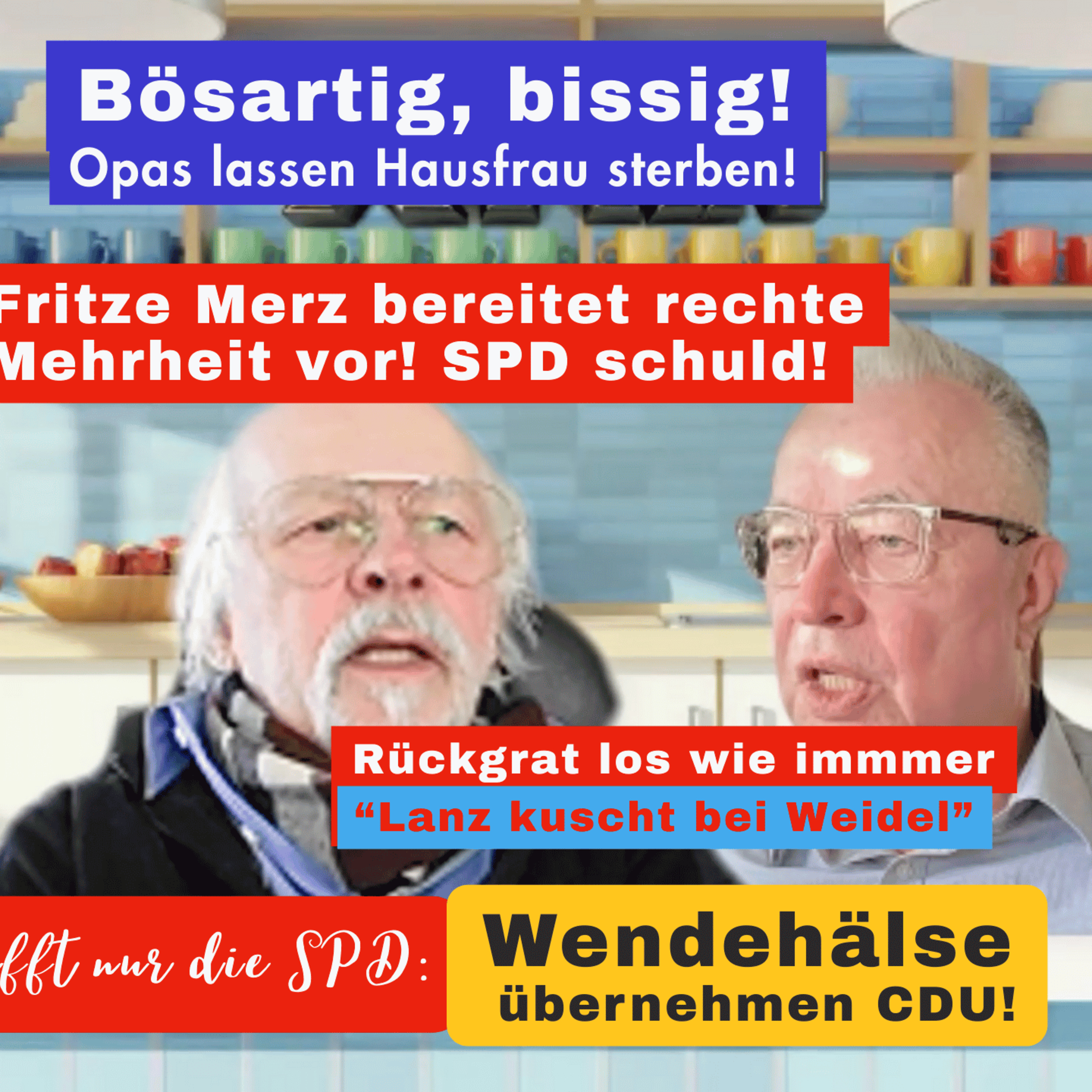 Tod der schwäbischen Hausfrau episode artwork