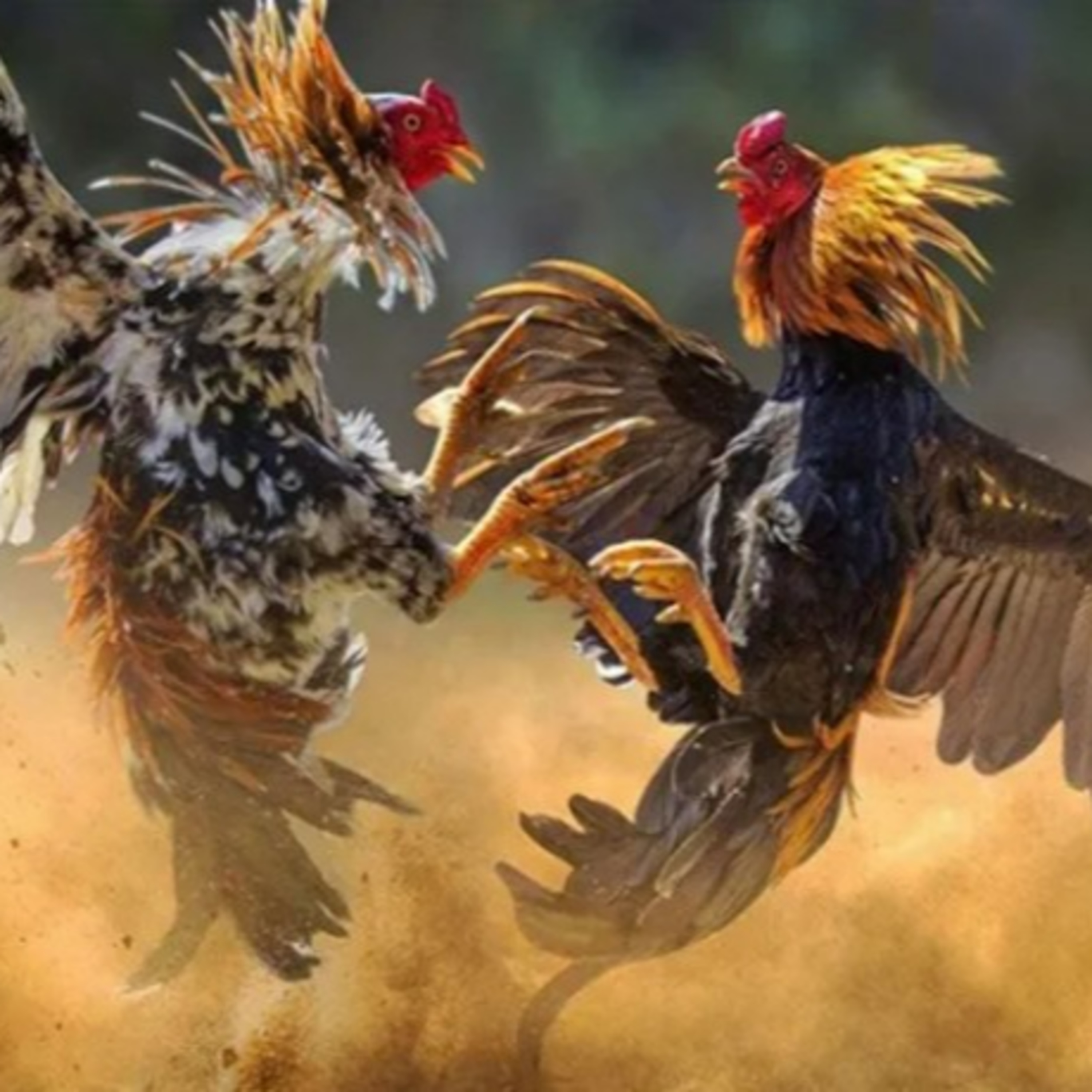 Góc Nhìn Game Thủ