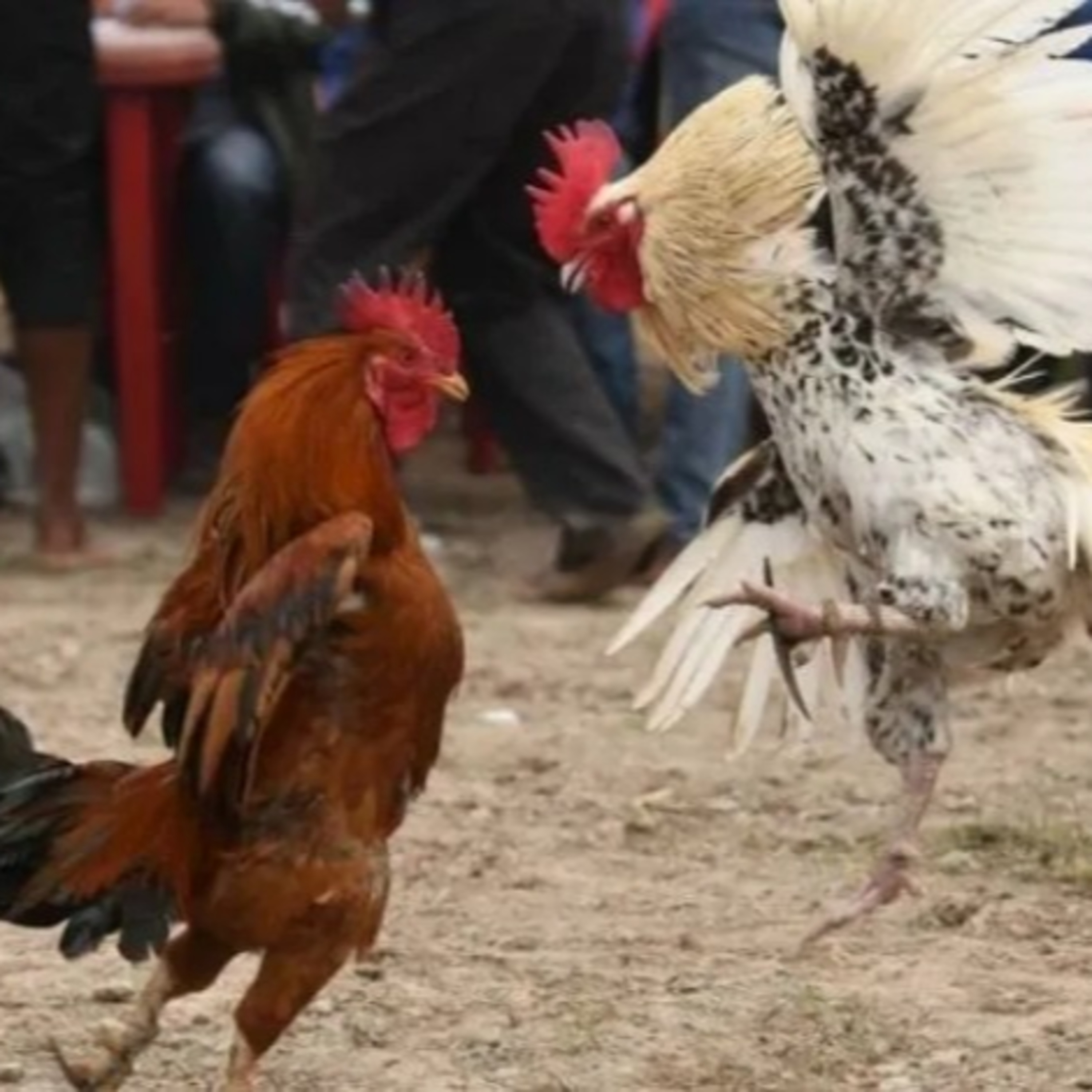Góc Nhìn Game Thủ